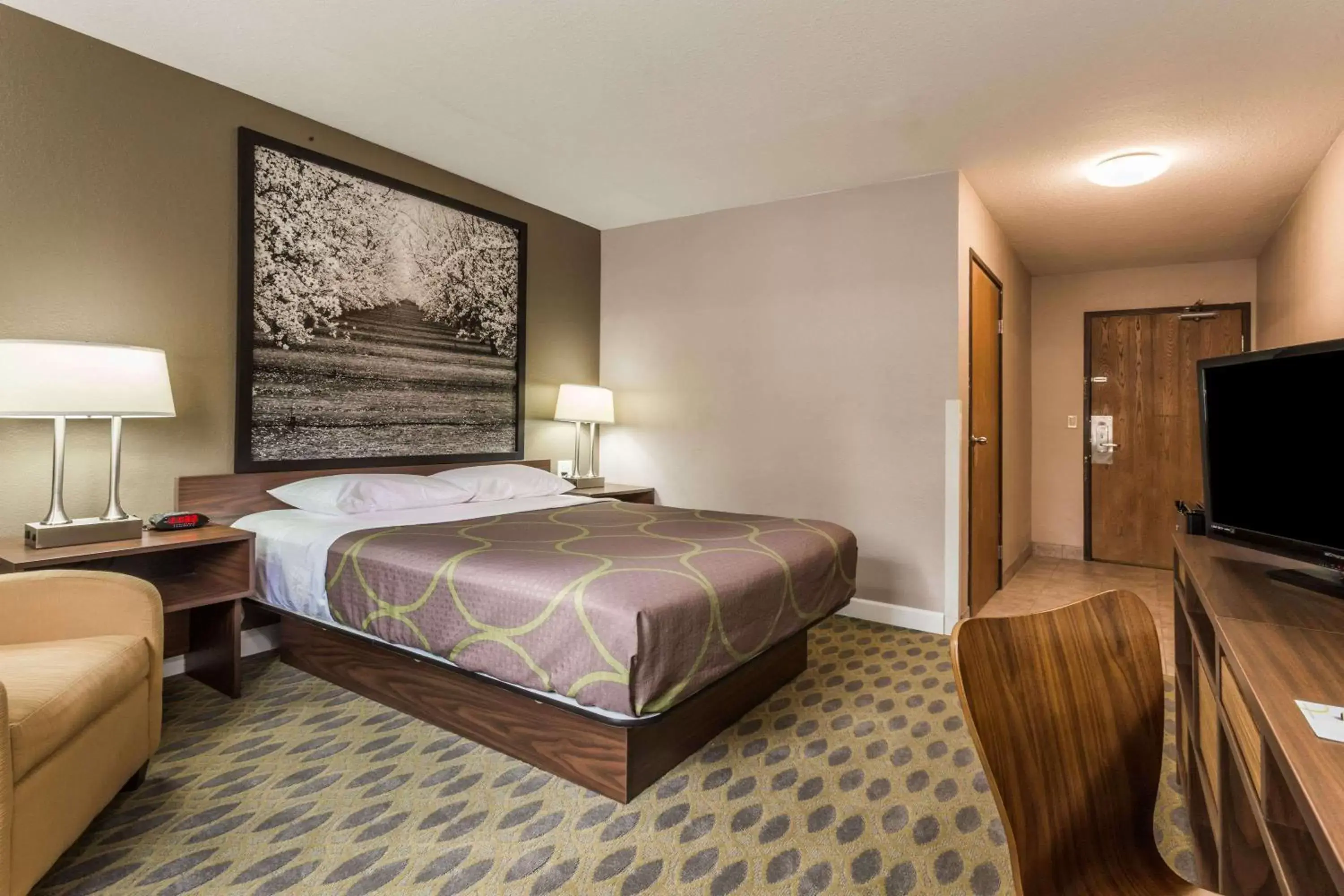 Photo of the whole room, Bed in Super 8 by Wyndham Willows Photo of the whole room, Bed in Super 8 by Wyndham Willows