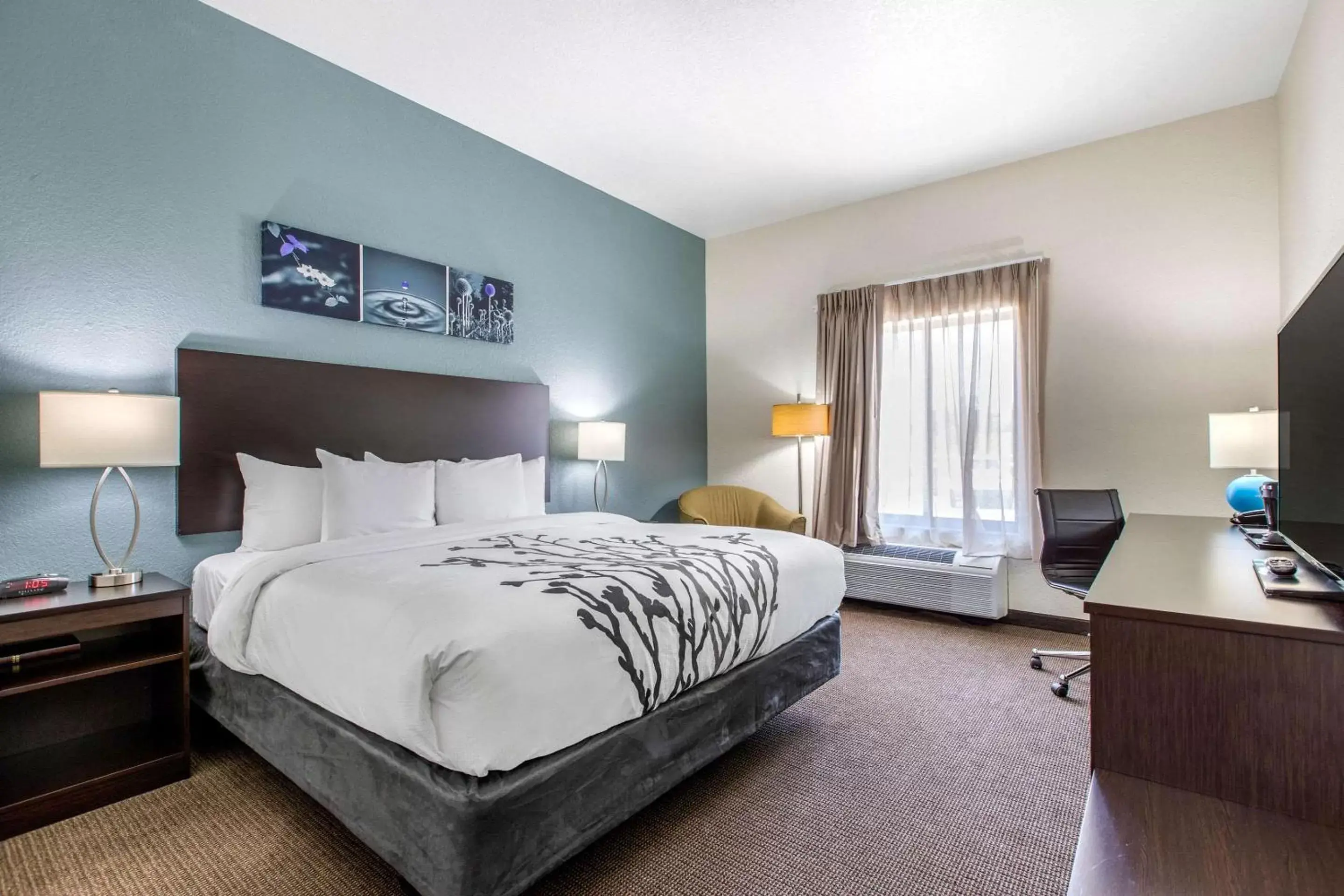 Photo of the whole room, Bed in Sleep Inn & Suites Ankeny - Des Moines