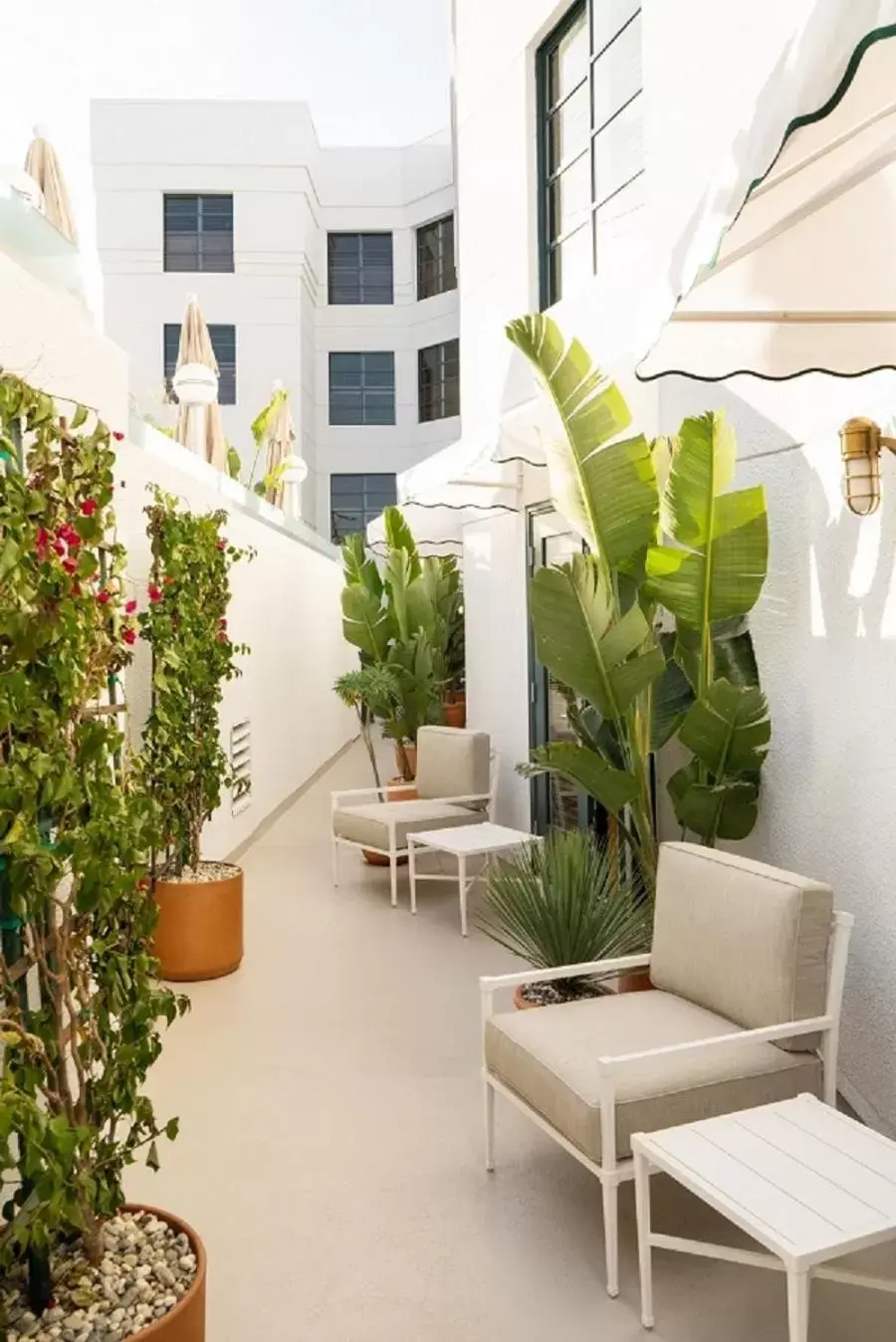 Balcony/Terrace in Palihouse West Hollywood