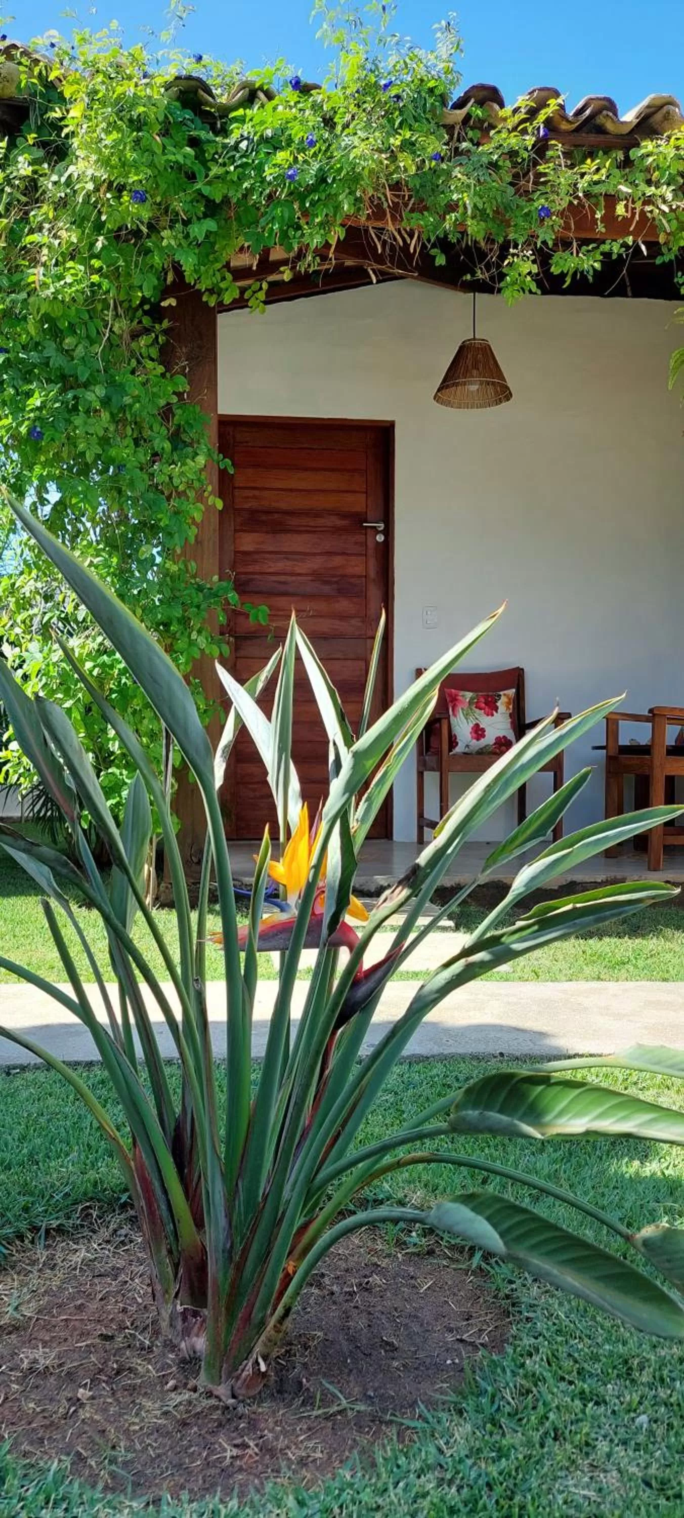 Garden in Arataba Hotel Boutique e Bistrô - 150 mts do mar