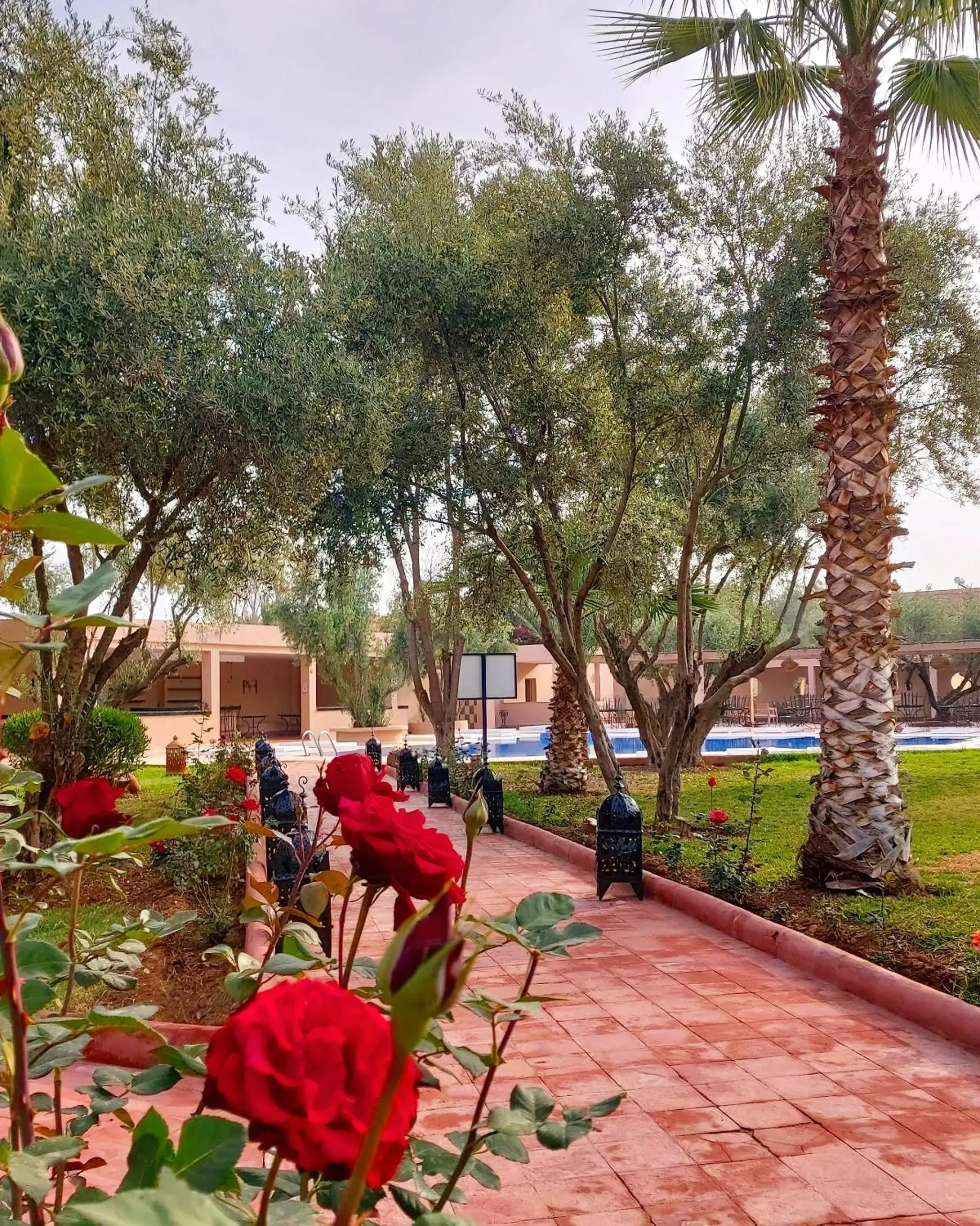 Garden in La Maison Des Oliviers