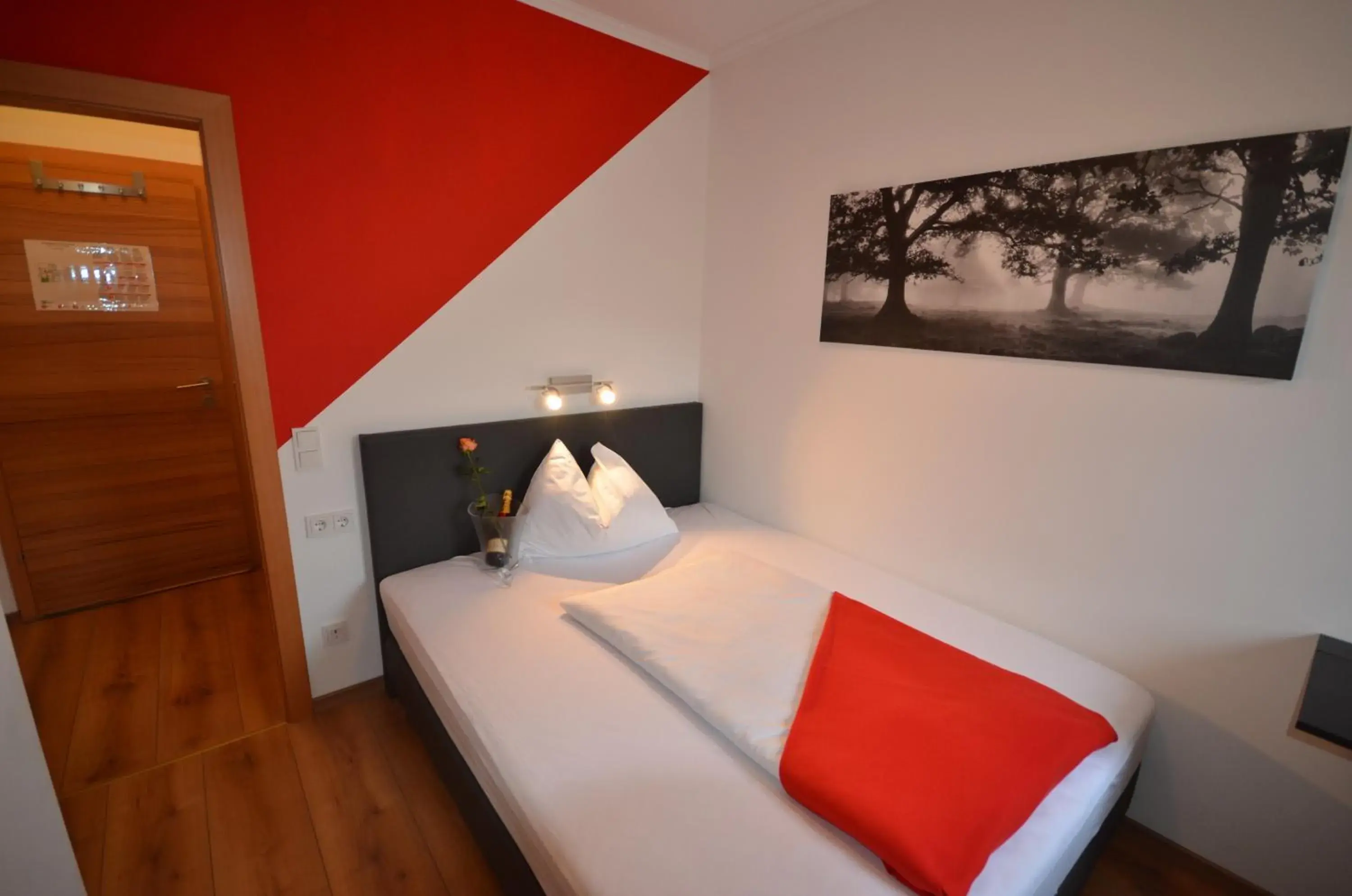 Budget Double Room - single occupancy in Hotel Traube