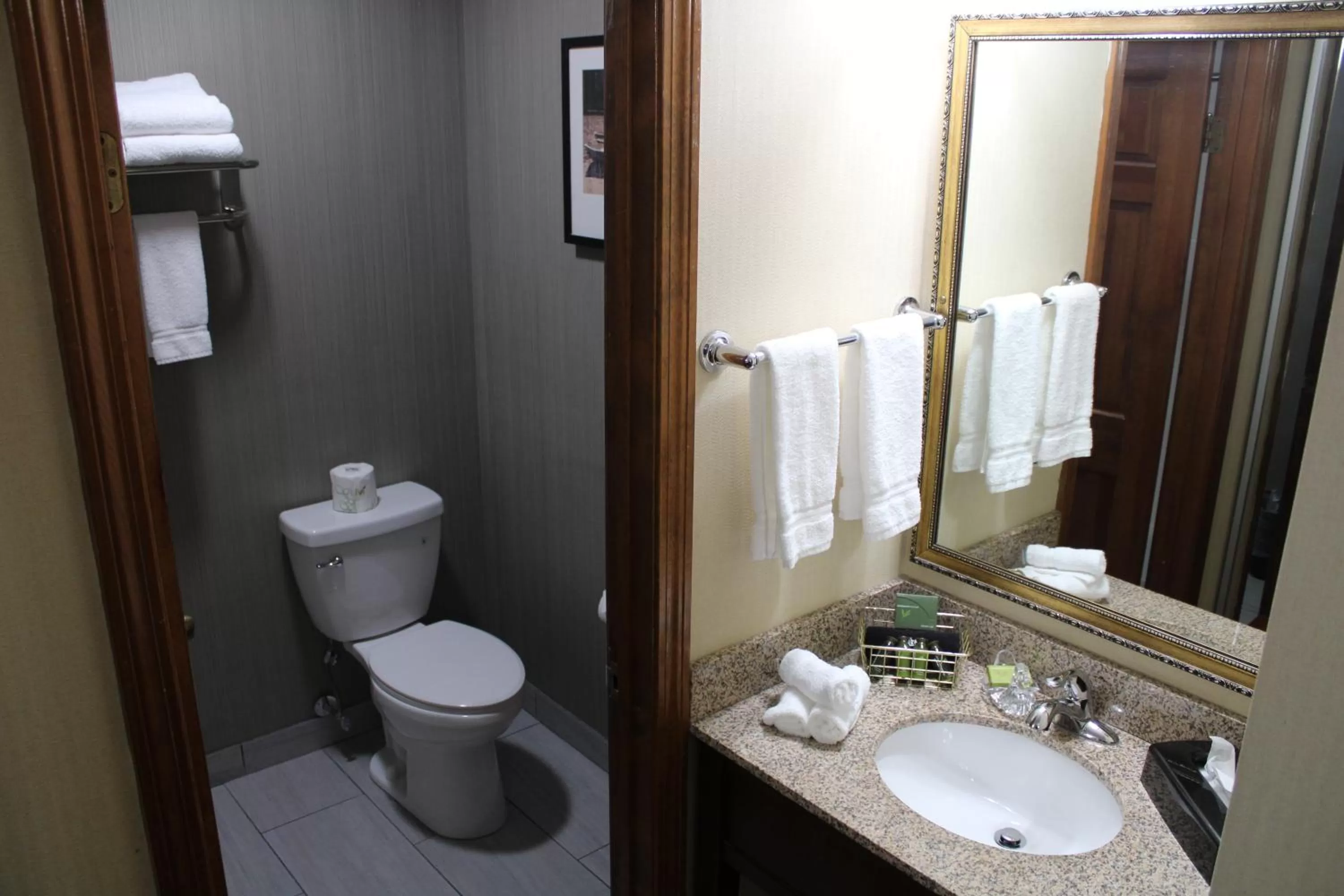 Toilet in The Black Swan Lee - Lenox, an Ascend Collection Hotel