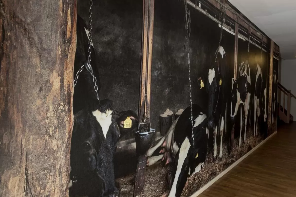 Hotel B&B Hoeve de Vredenhof