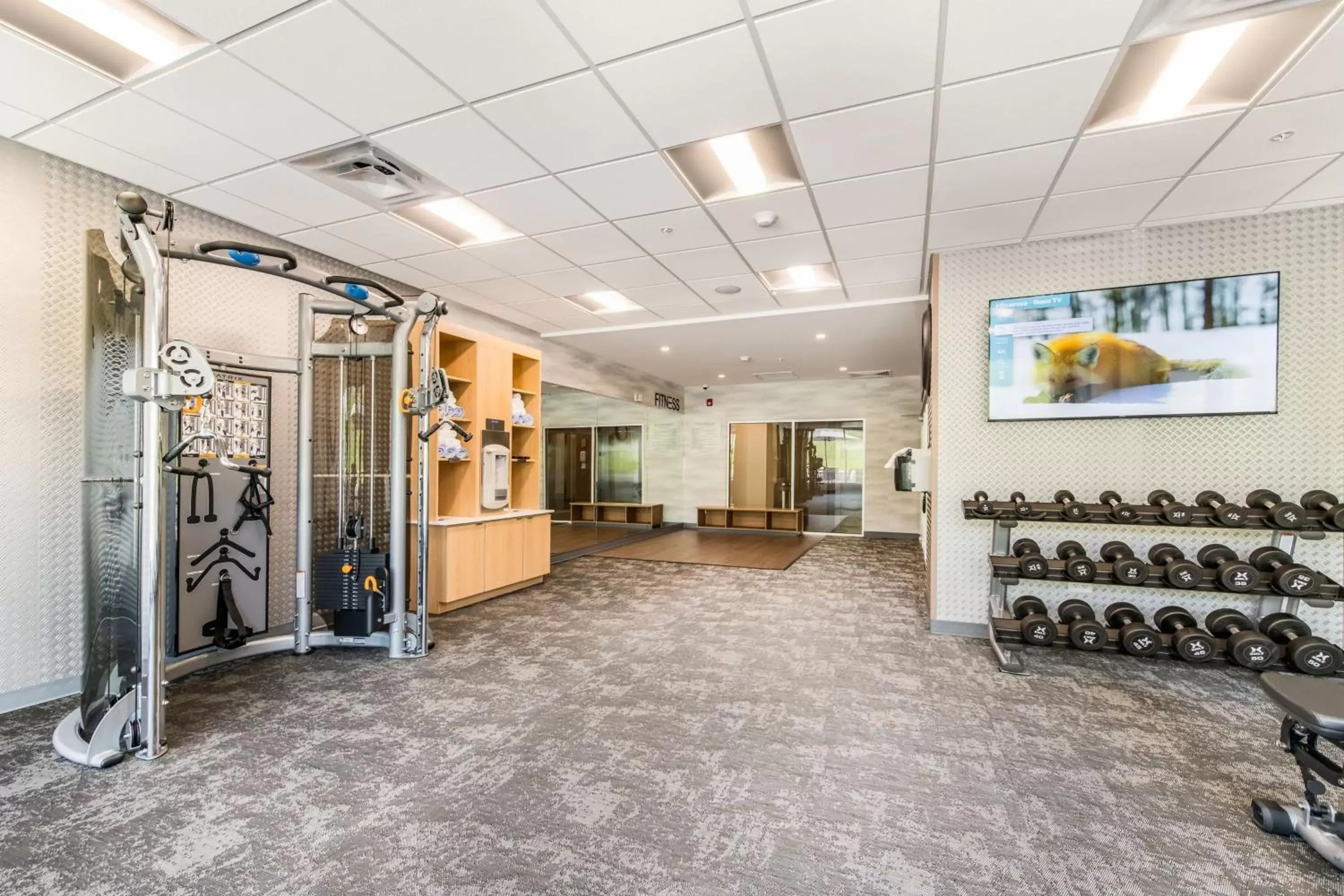 Fitness centre/facilities in Fairfield by Marriott Inn & Suites Knoxville Clinton