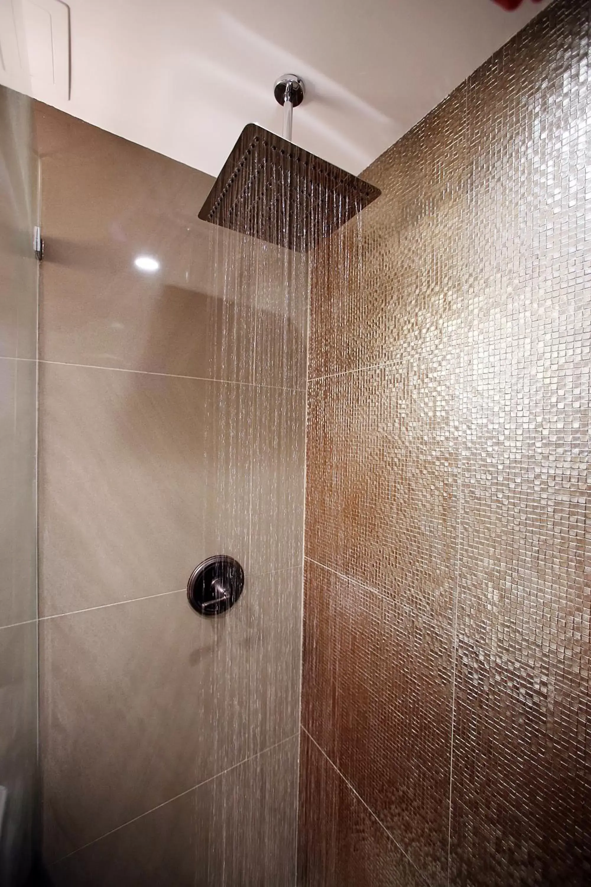 Shower, Bathroom in Cavalier South Beach Hotel