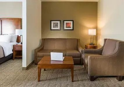 Living room, Seating Area in Comfort Inn Midland South I-20