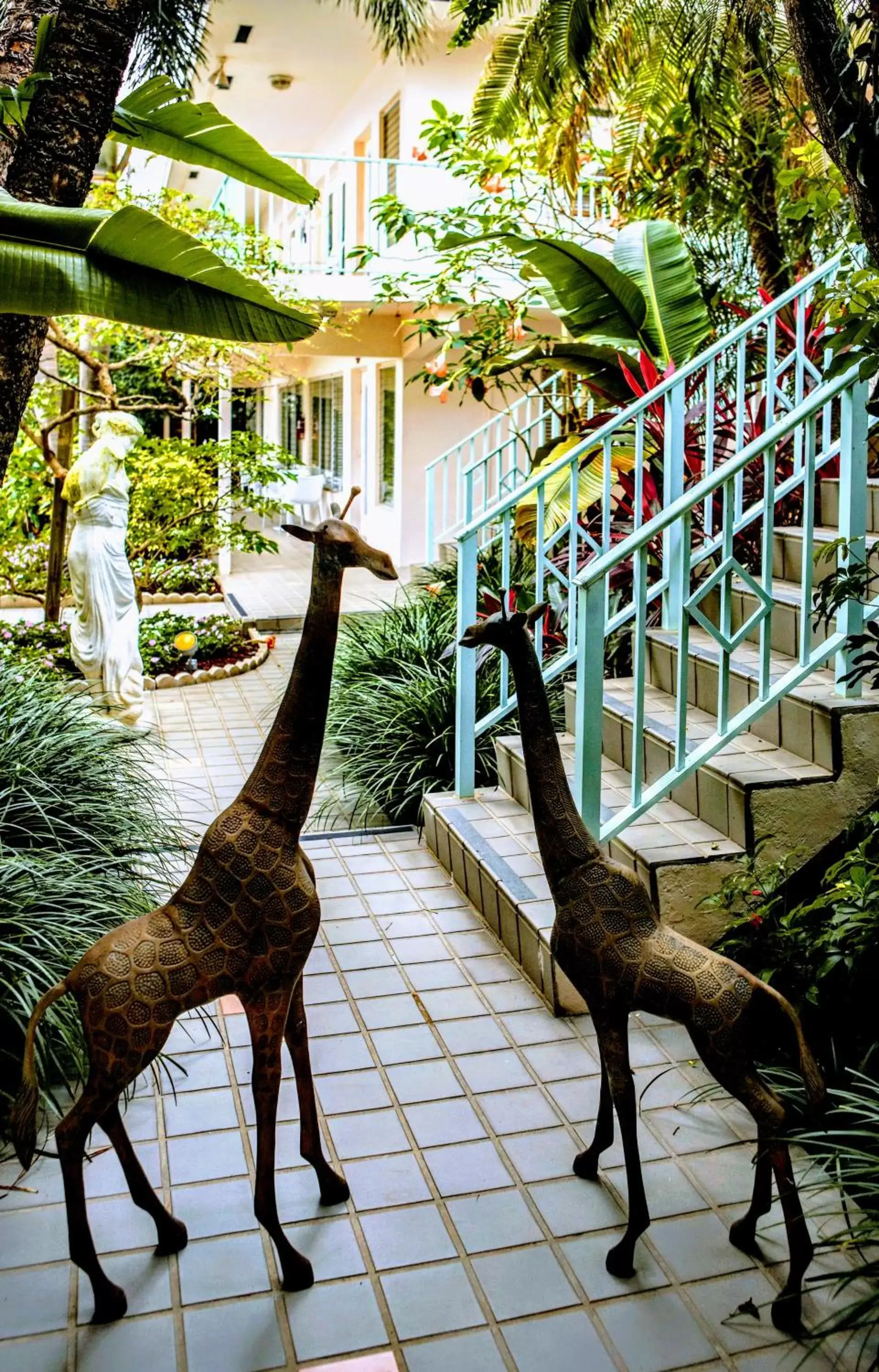 Garden, Other Animals in Villa Venezia