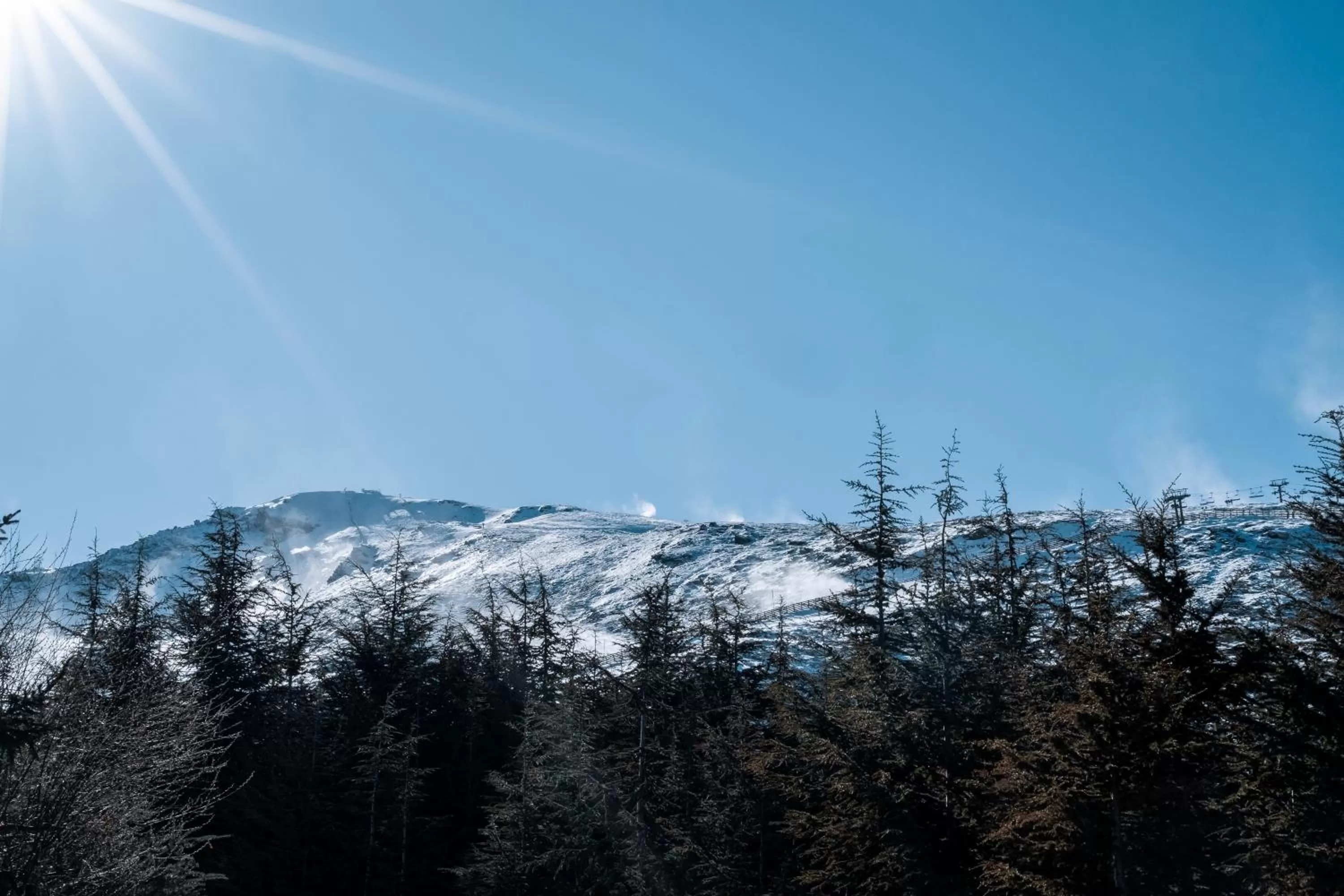 Natural landscape in Hotel Ziryab