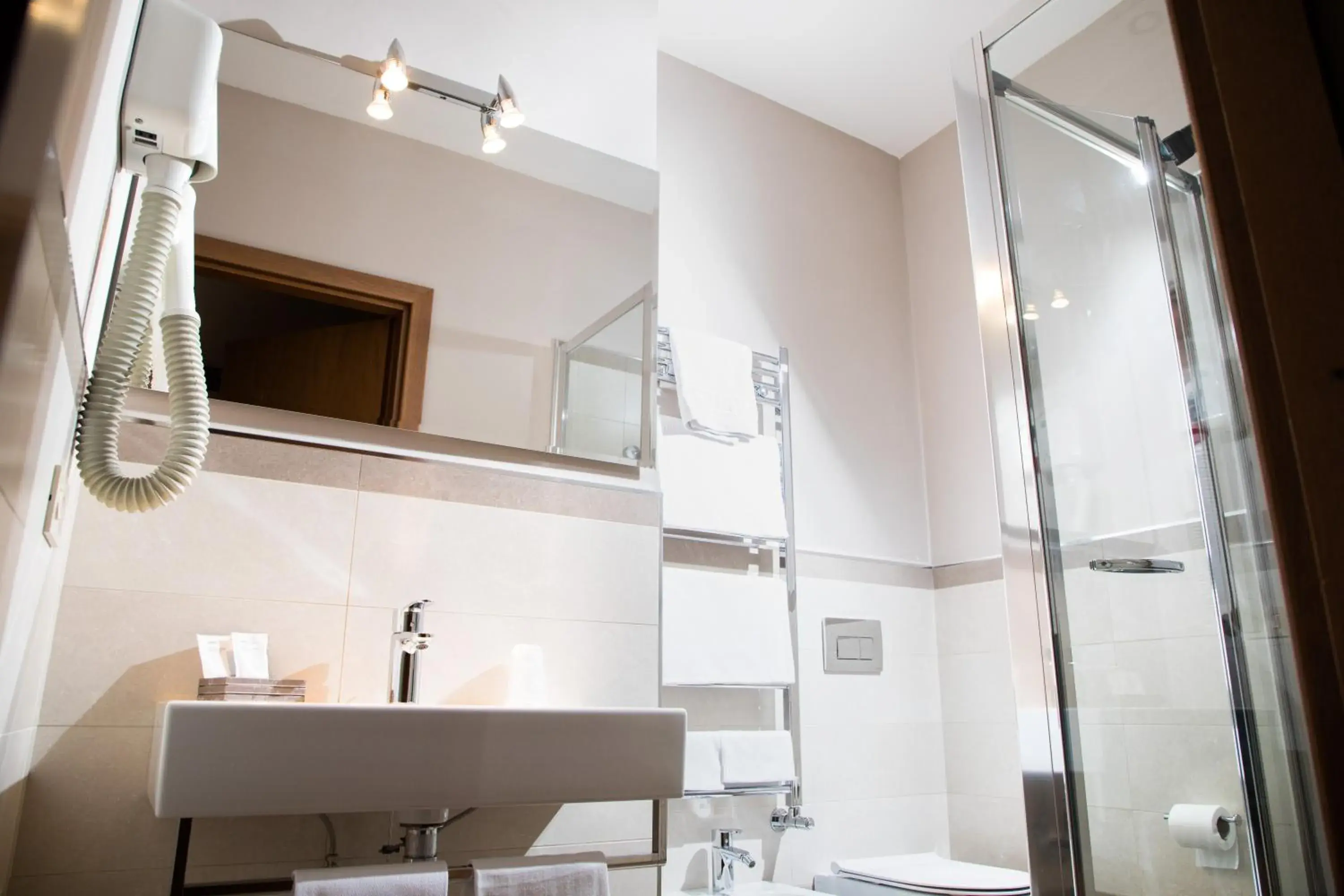 Bathroom in Albergo Dei Leoni