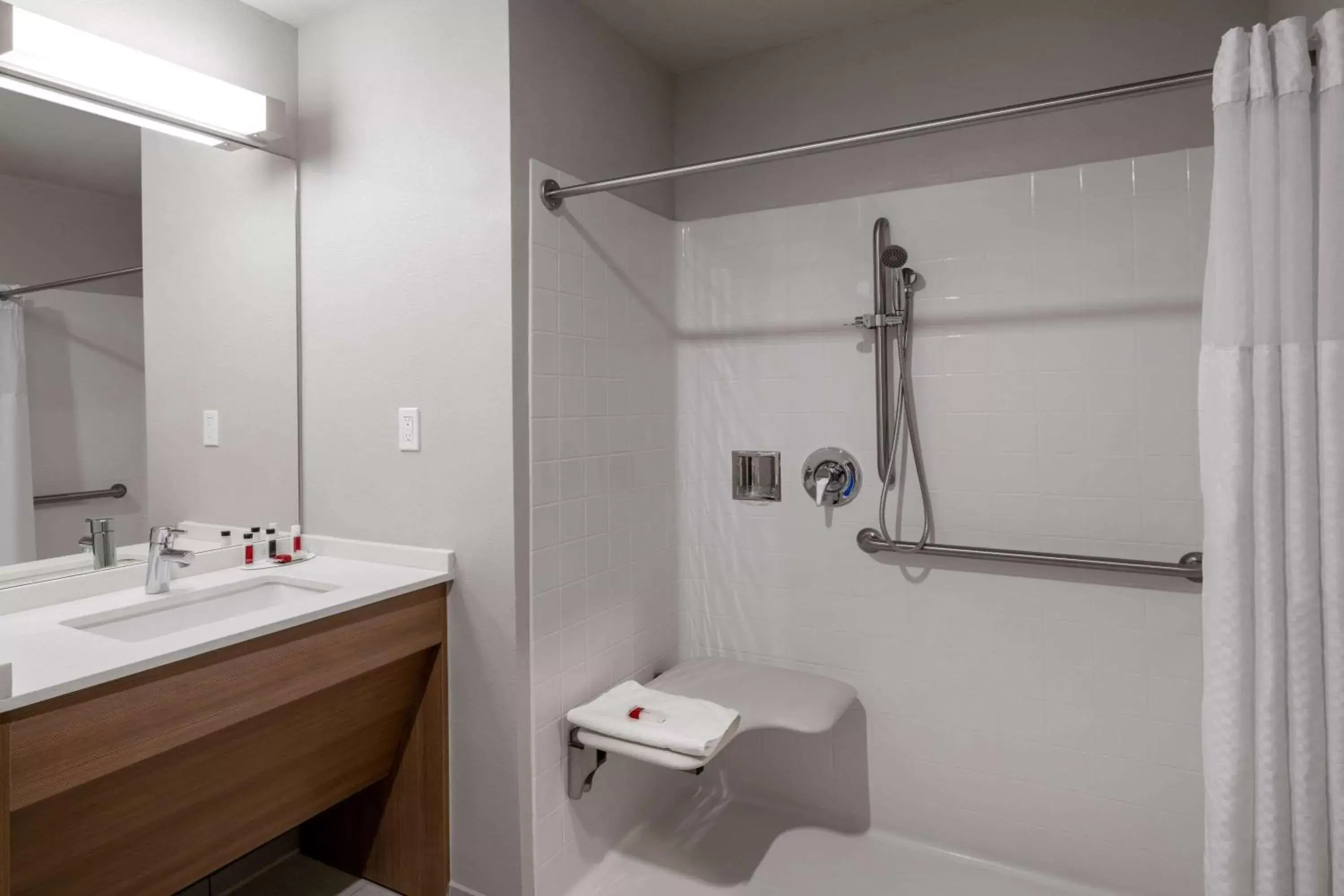 Bathroom in Microtel Inn & Suites by Wyndham Georgetown Lake