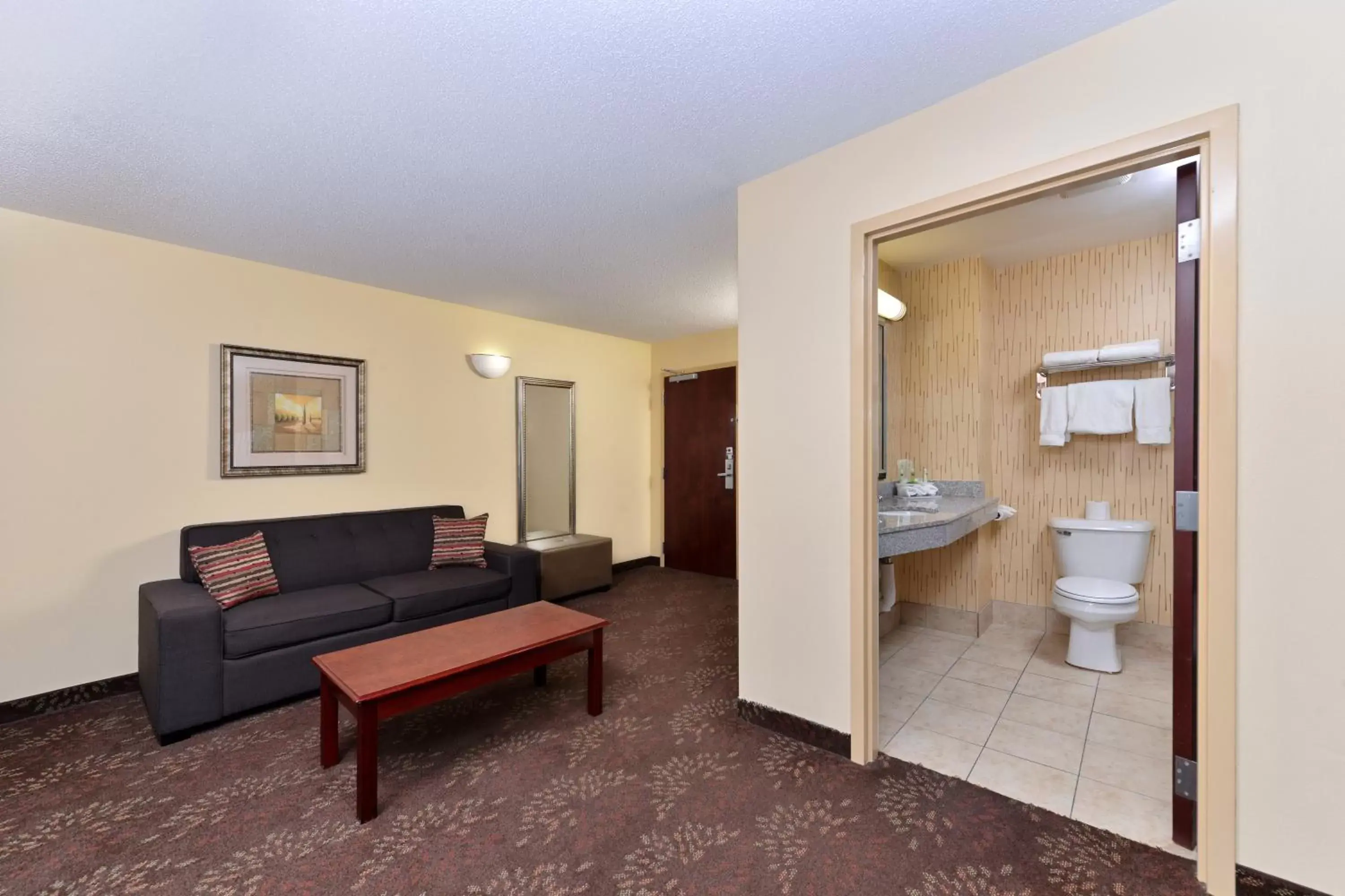 Photo of the whole room, Bathroom in Holiday Inn Express White House, an IHG Hotel