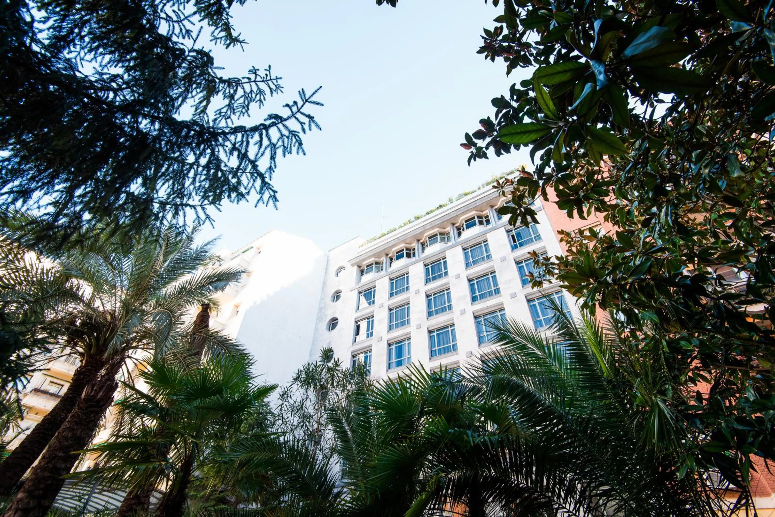 Garden in VP Madroño