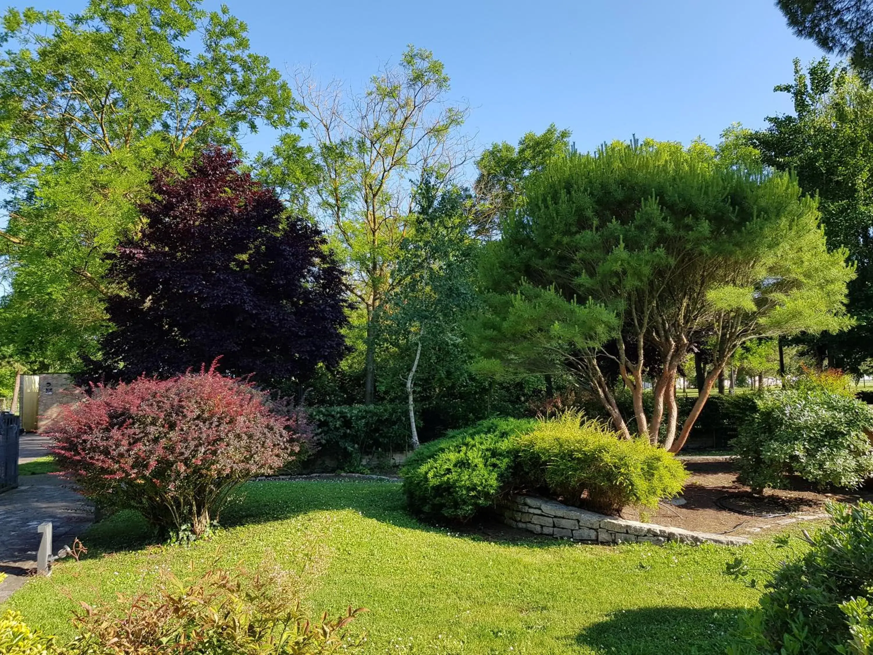 Garden in Hotel Classensis