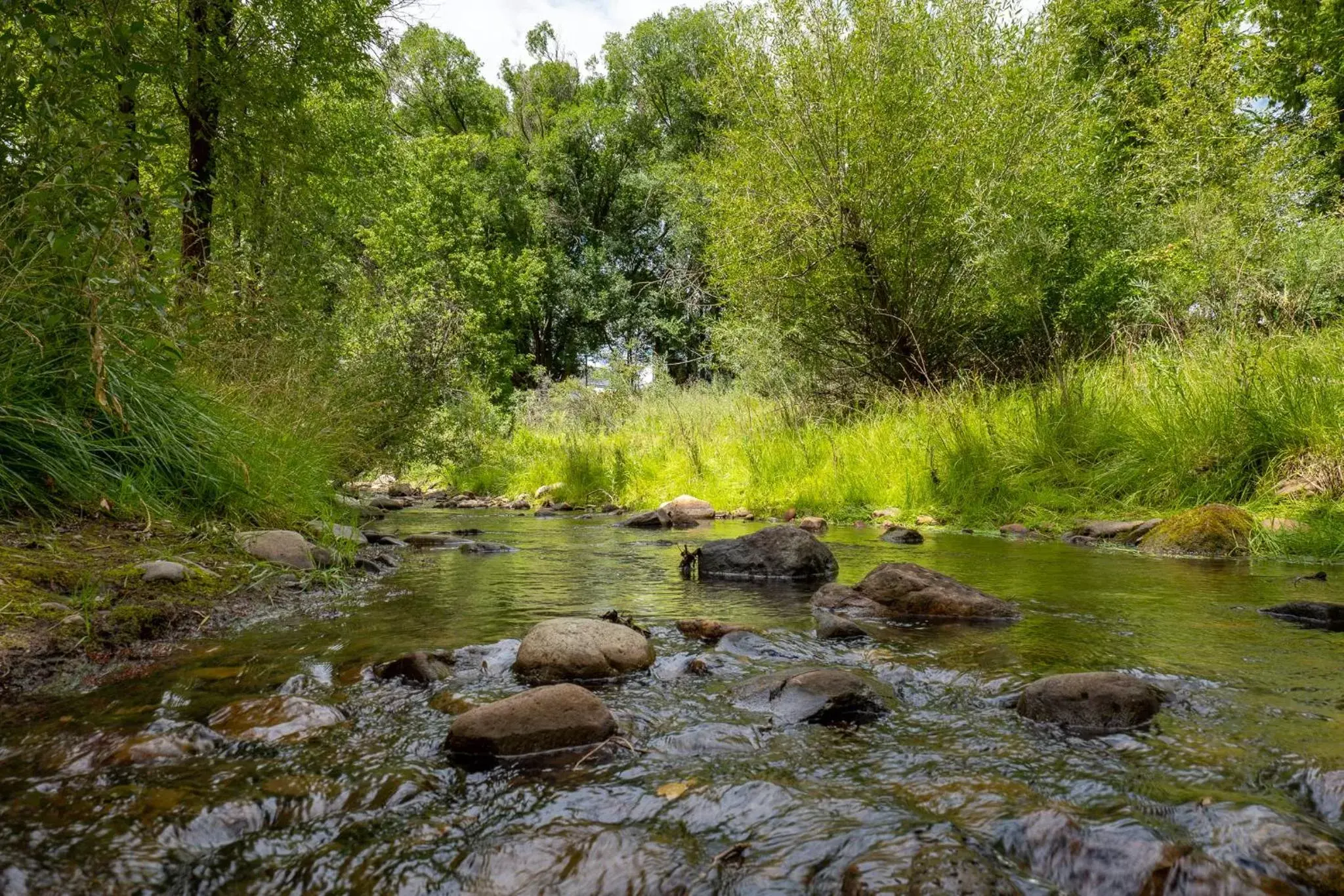 River view, Other Animals in Motel Durango