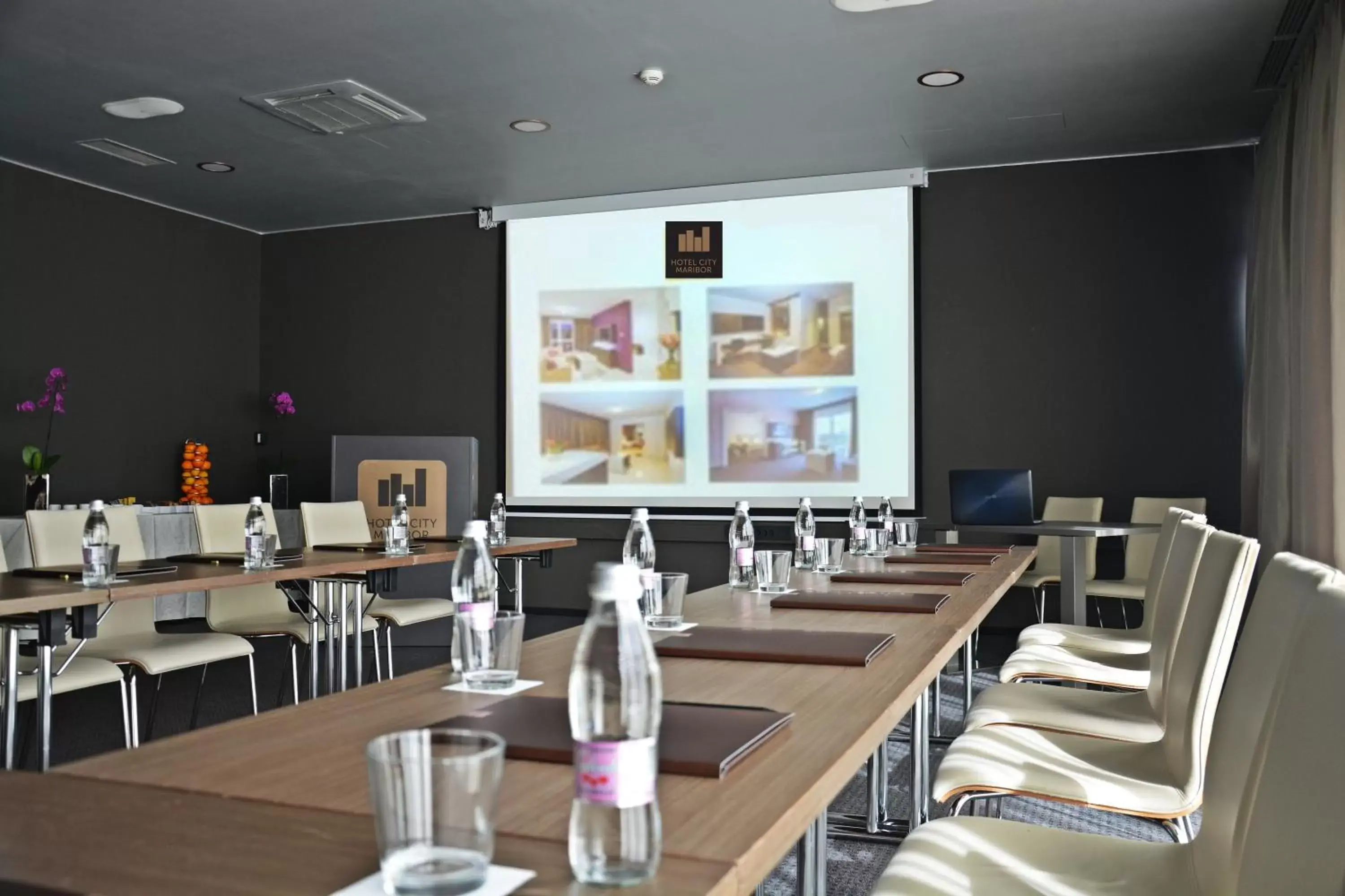 Business facilities in Hotel City Maribor