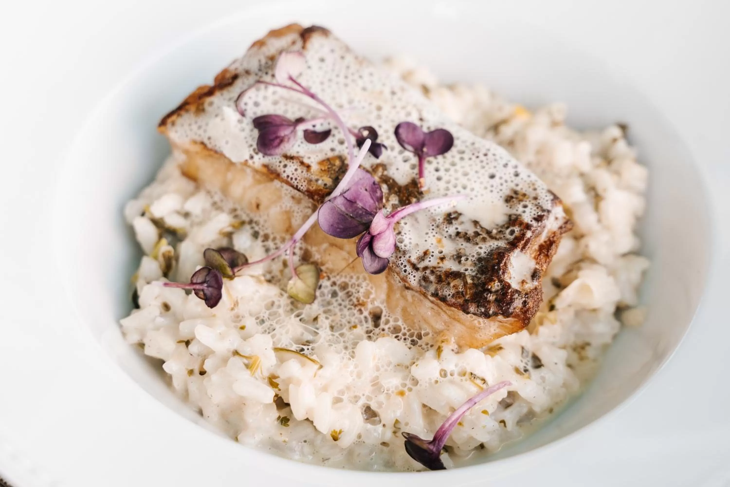 Restaurant/places to eat in Conimbriga Hotel do Paço