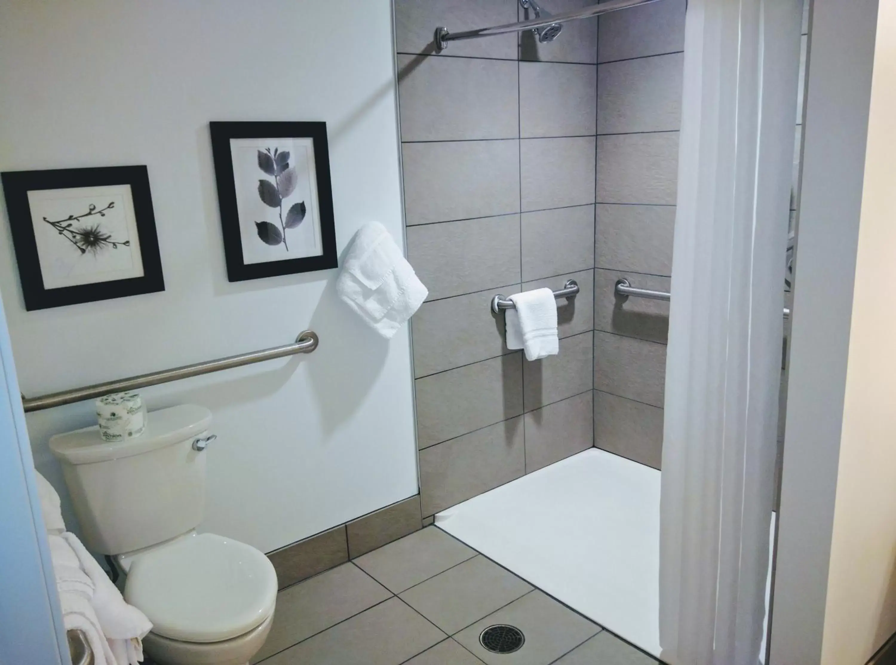 Shower, Bathroom in Country Inn & Suites by Radisson, Seattle-Tacoma International Airport, WA