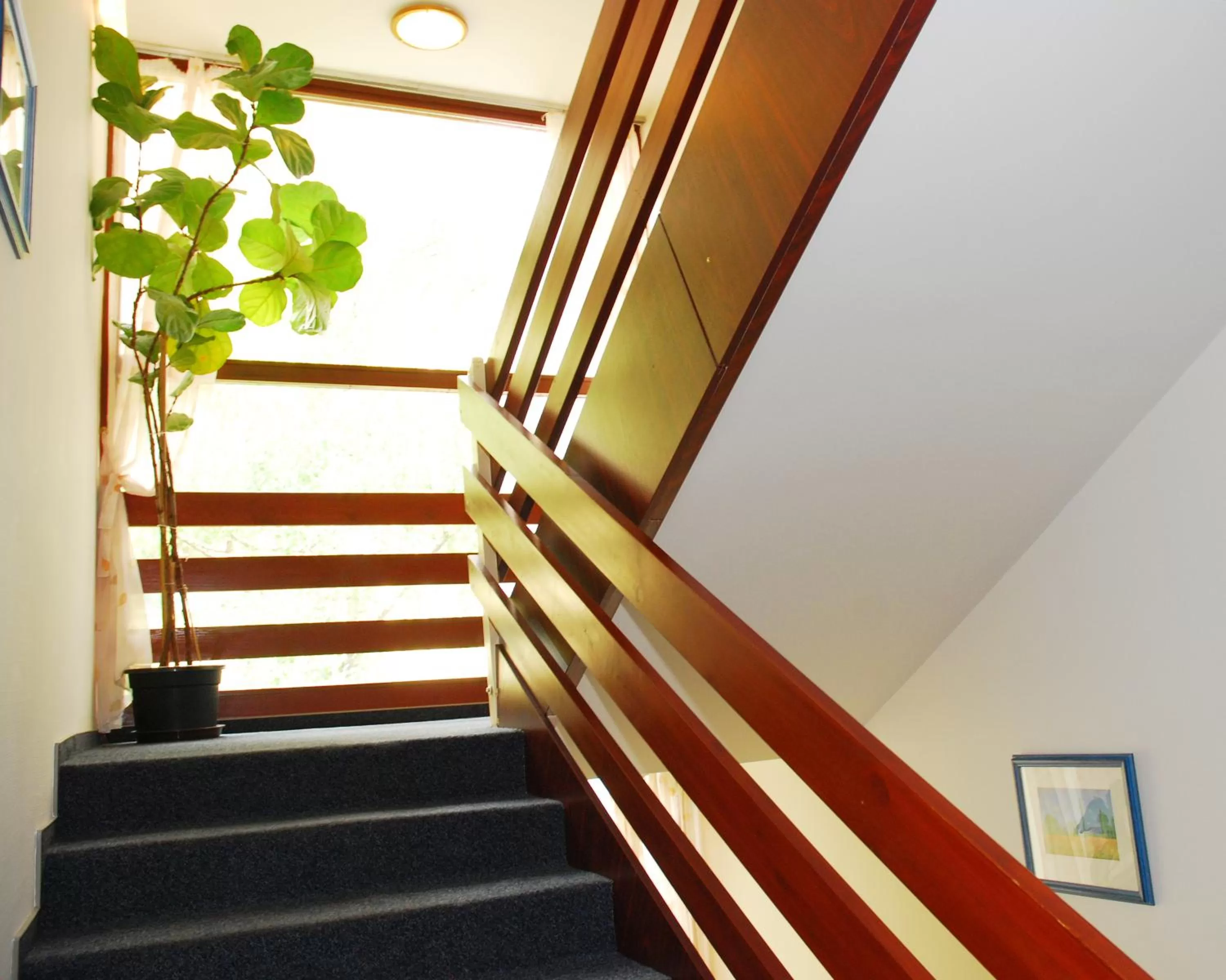 Property building in Hotel Orion