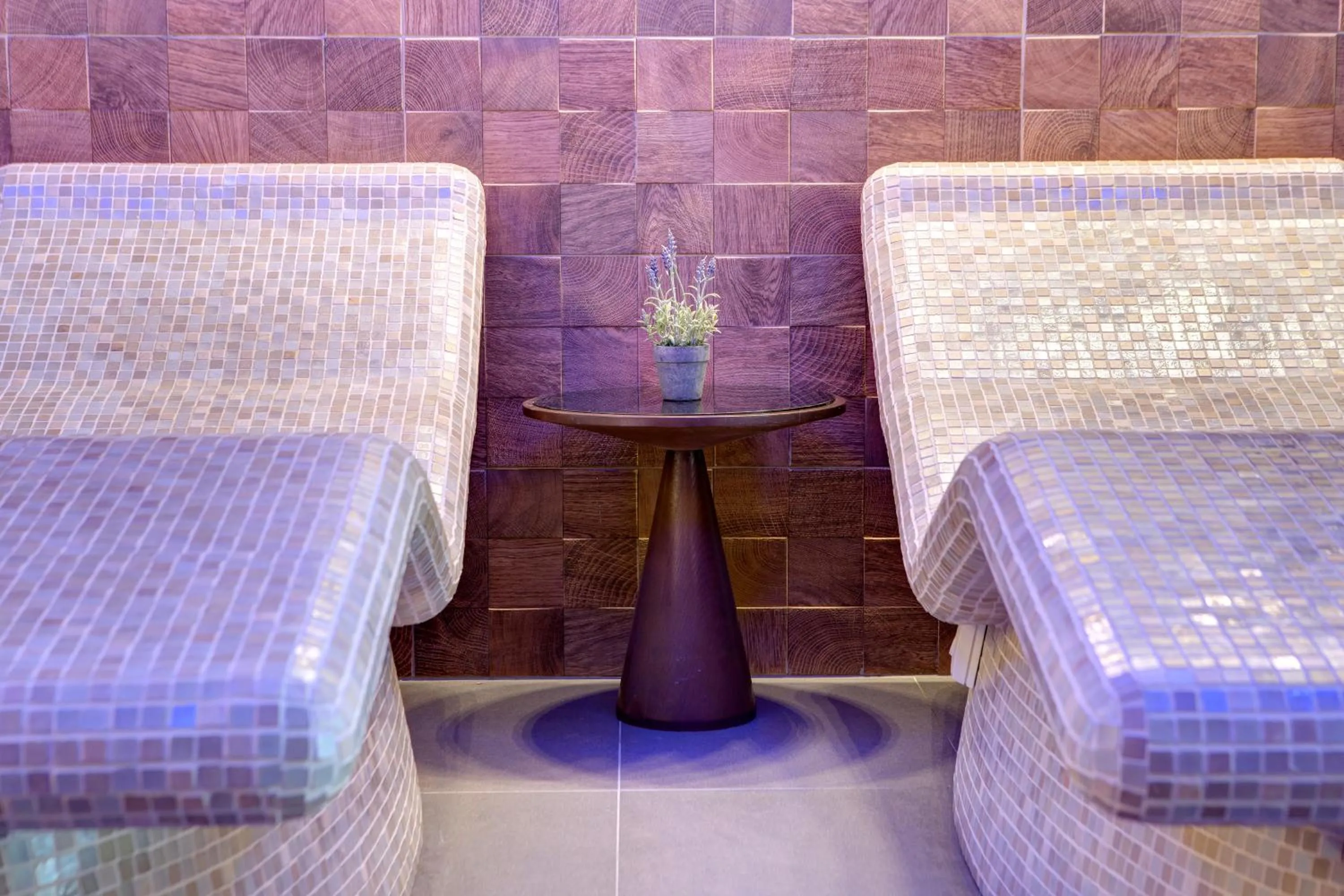 Spa and wellness centre/facilities in Hotel Eden