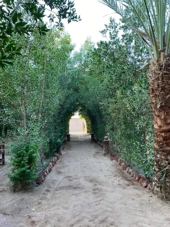 Garden in Nour El Balad