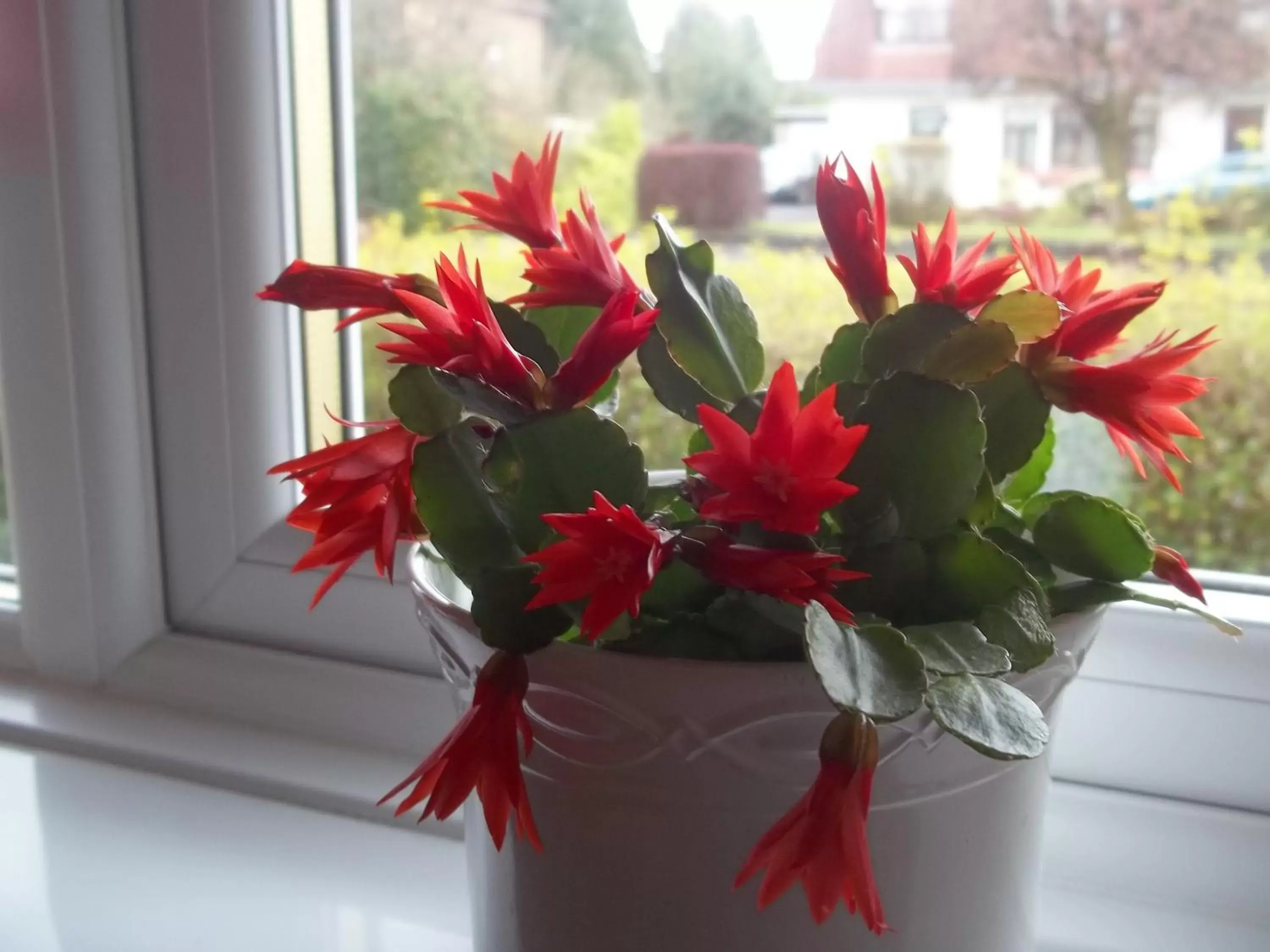 Decorative detail in Glenfern Guest House, also self catering cottage with PRIVATE hot tub