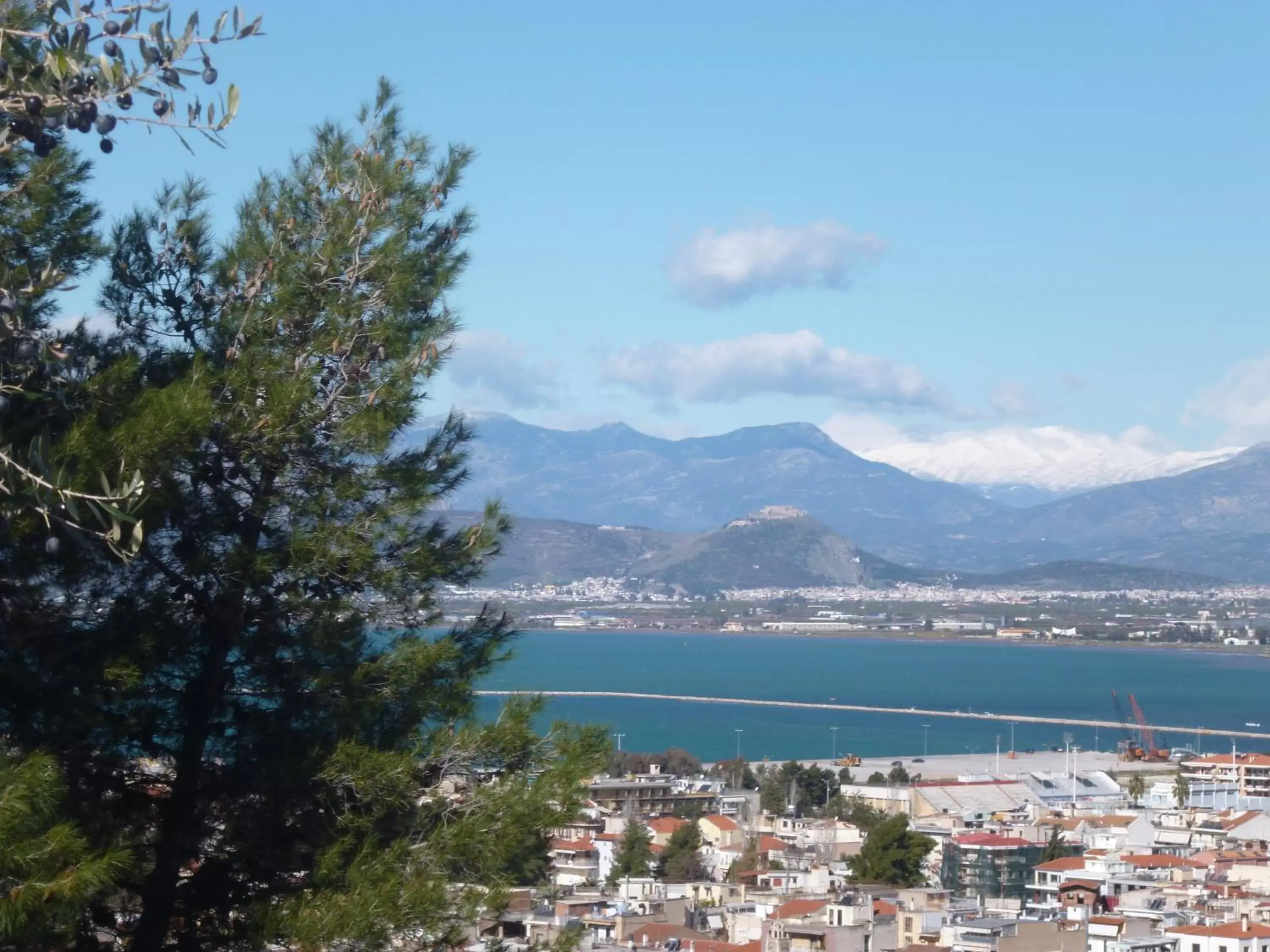 Natural landscape in Hotel Vasilis