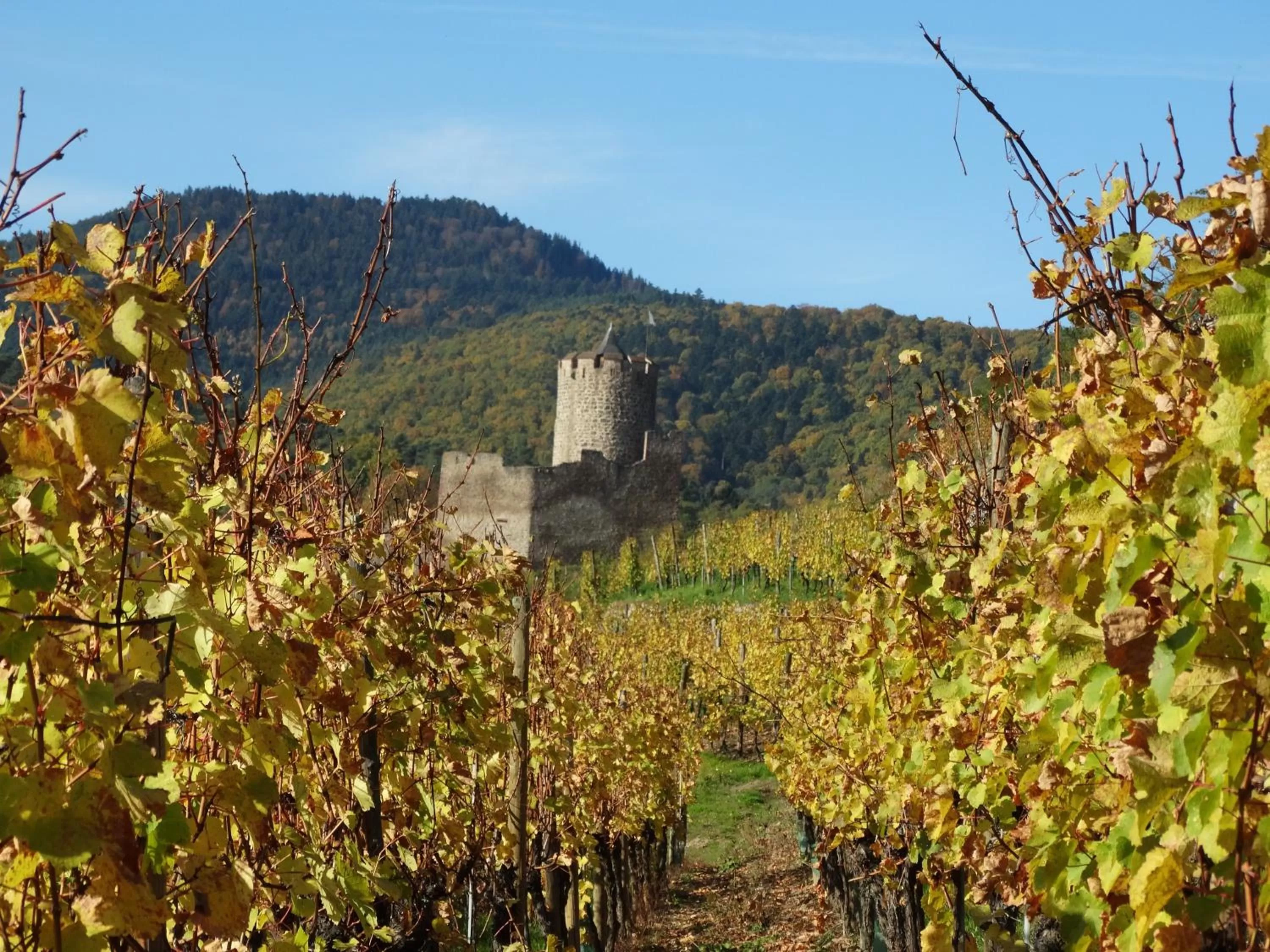 Nearby landmark in Hotel KLE, BW Signature Collection