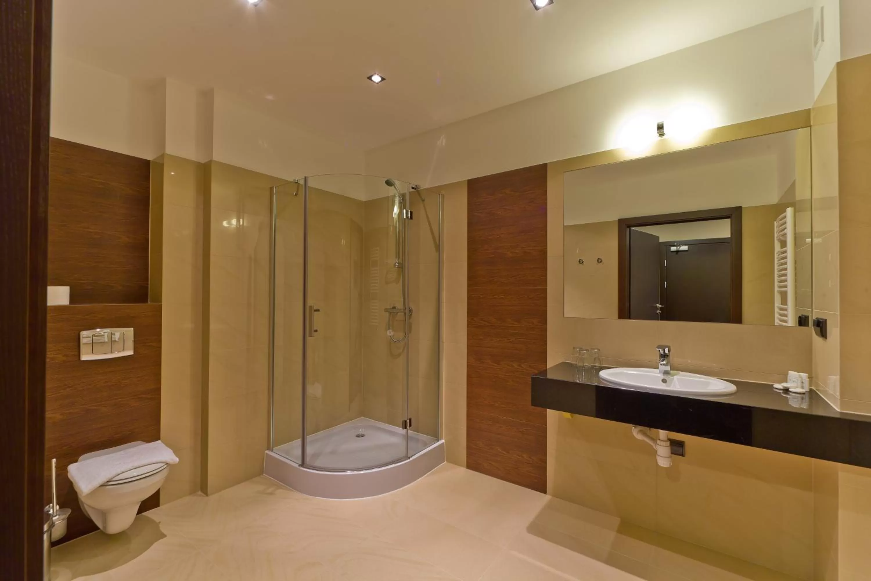 Toilet in Hotel Zimnik Luksus Natury Spa & Wellness