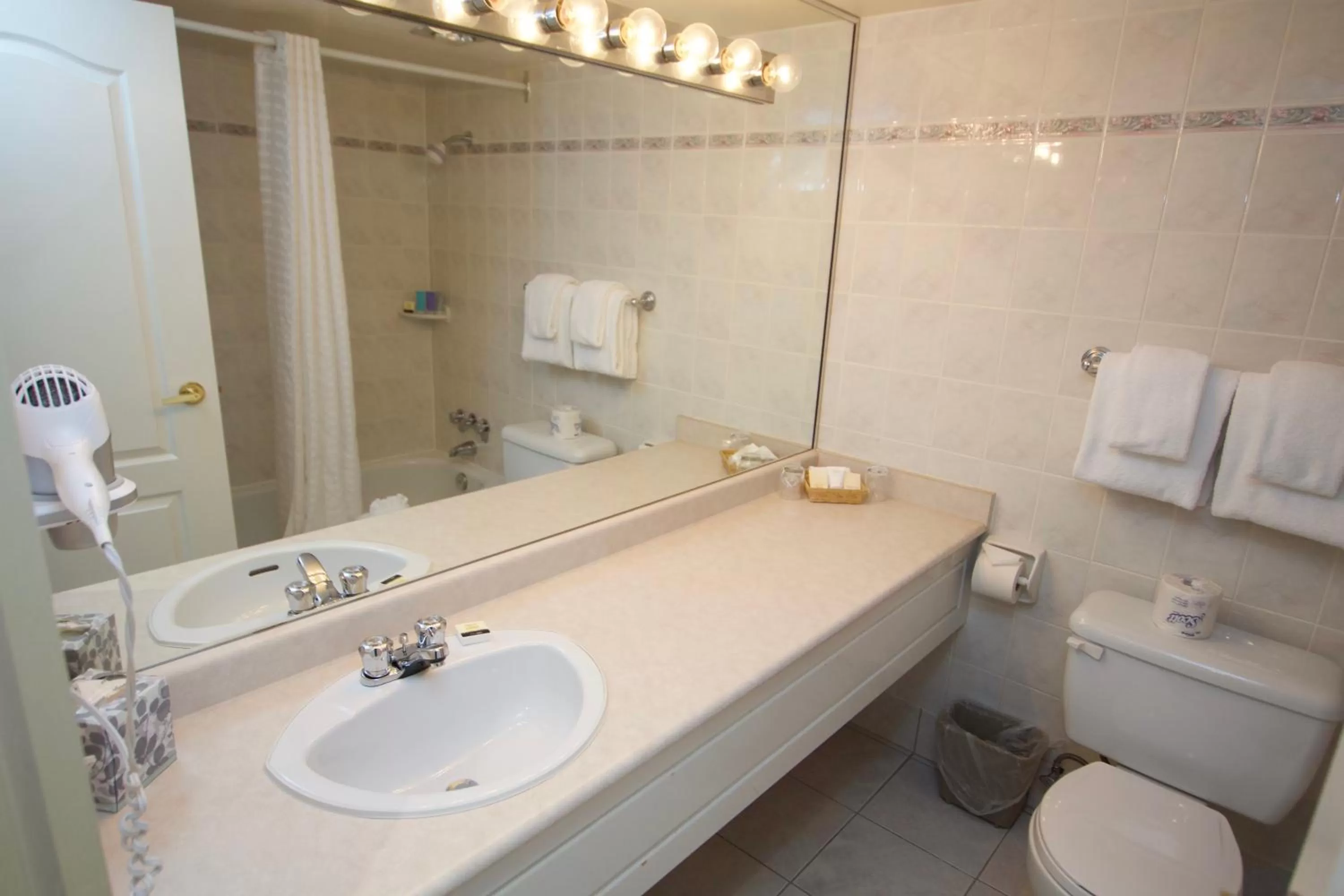 Toilet in Century Plaza Hotel