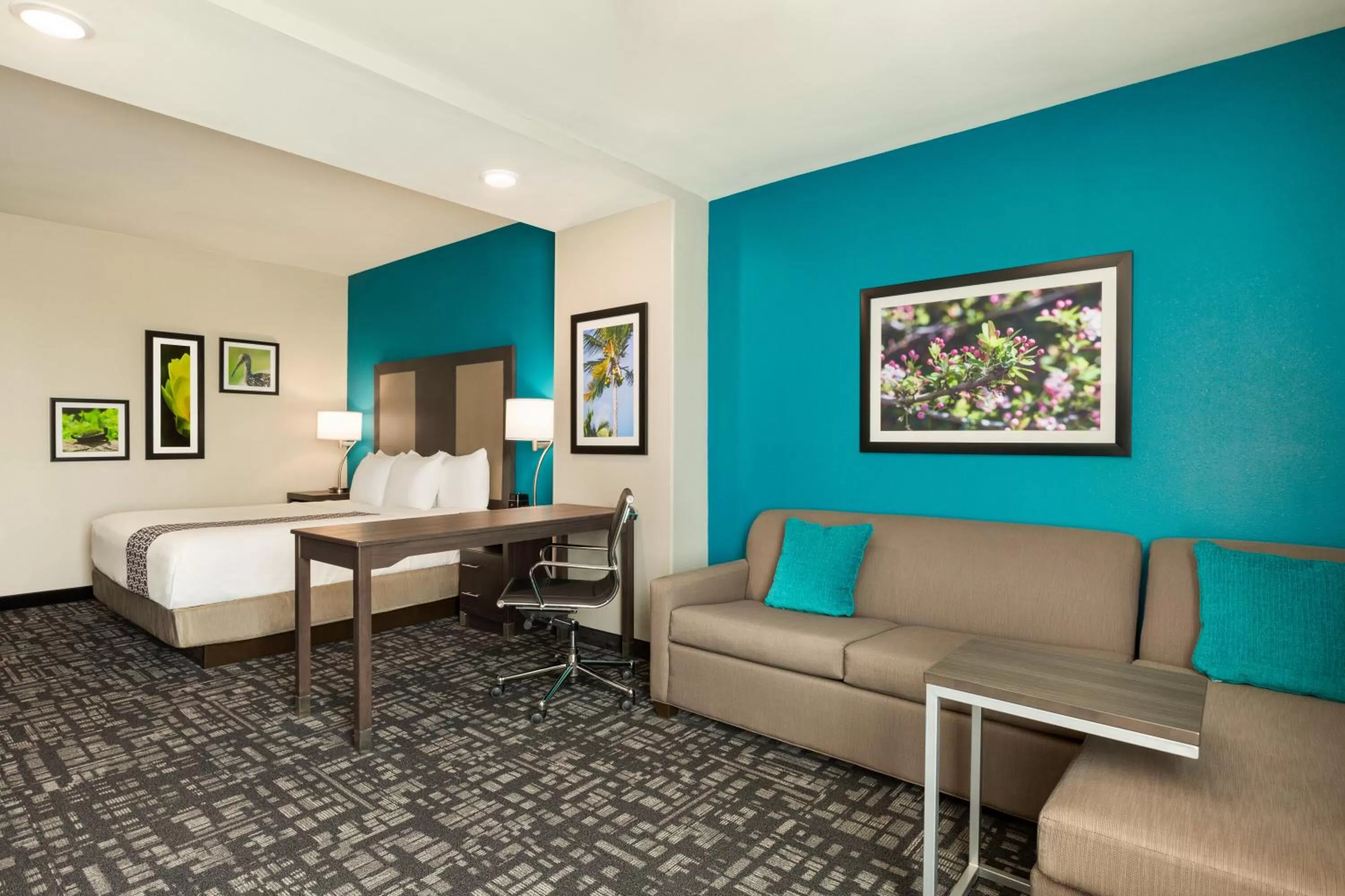 Photo of the whole room in La Quinta by Wyndham Gainesville