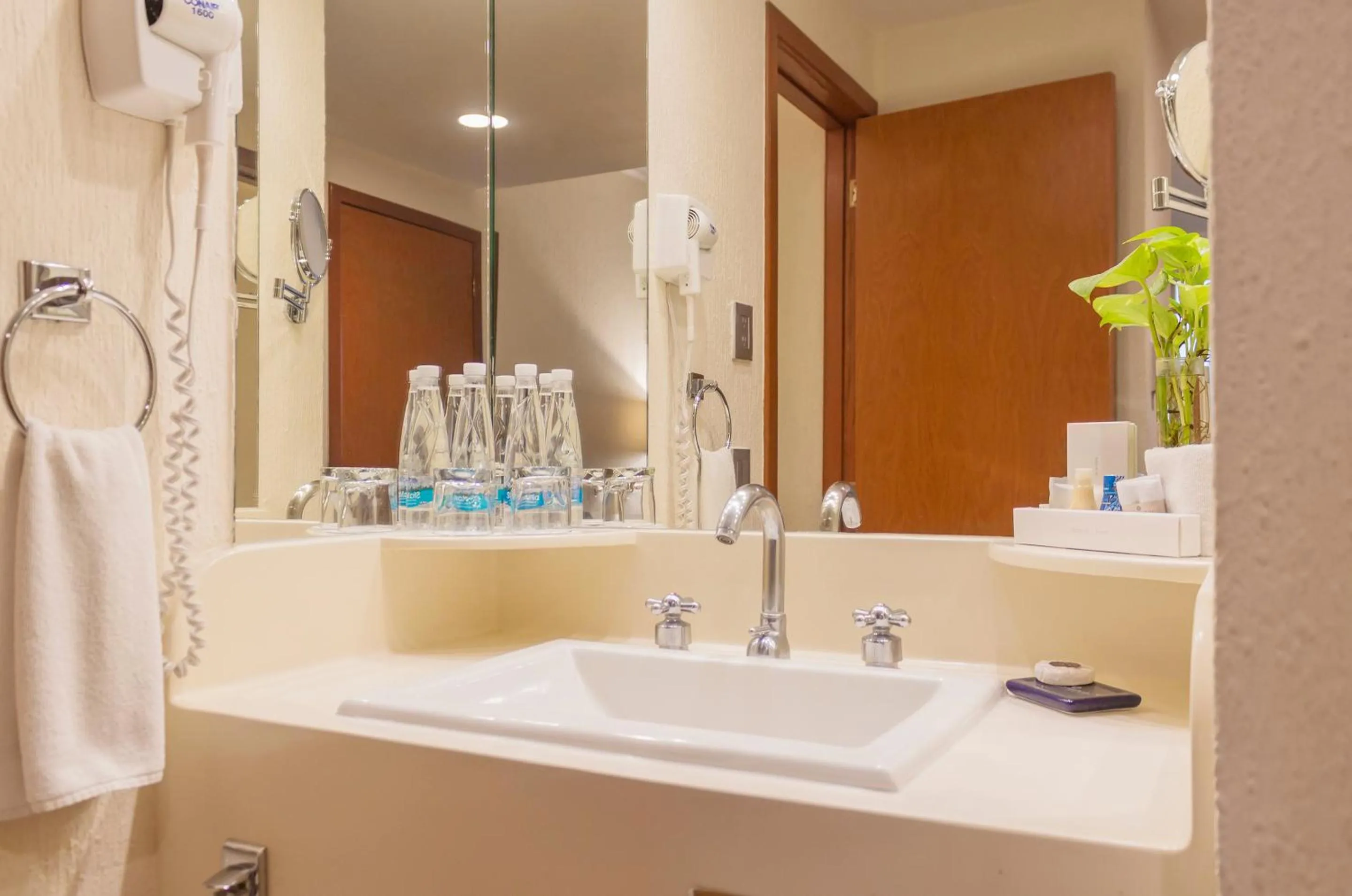 Bathroom in Hotel Guadalajara Plaza Expo