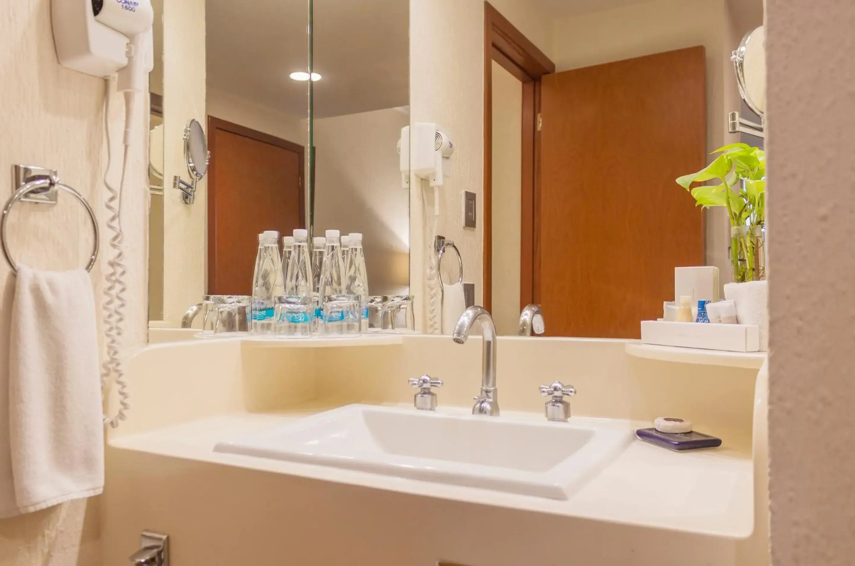 Bathroom in Hotel Guadalajara Plaza Expo