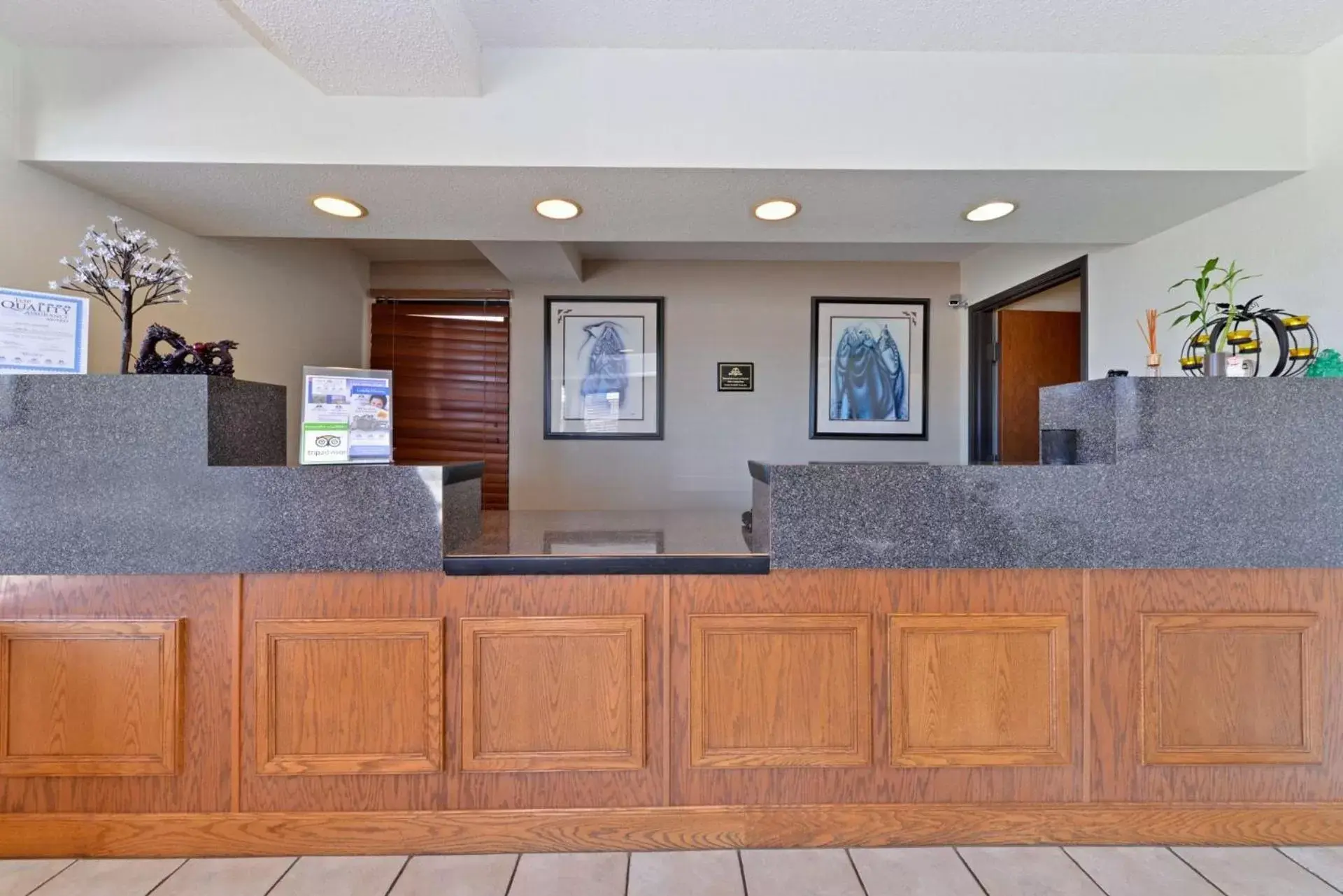Lobby/Reception in Executive Plus Inn and Suites