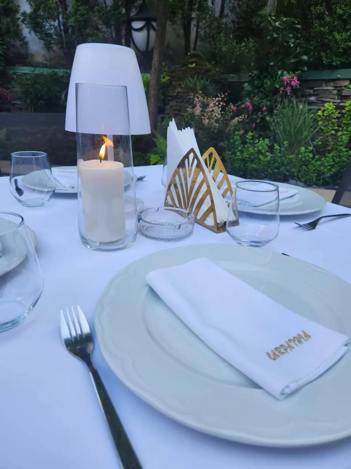 Garden in Hotel Carpathia