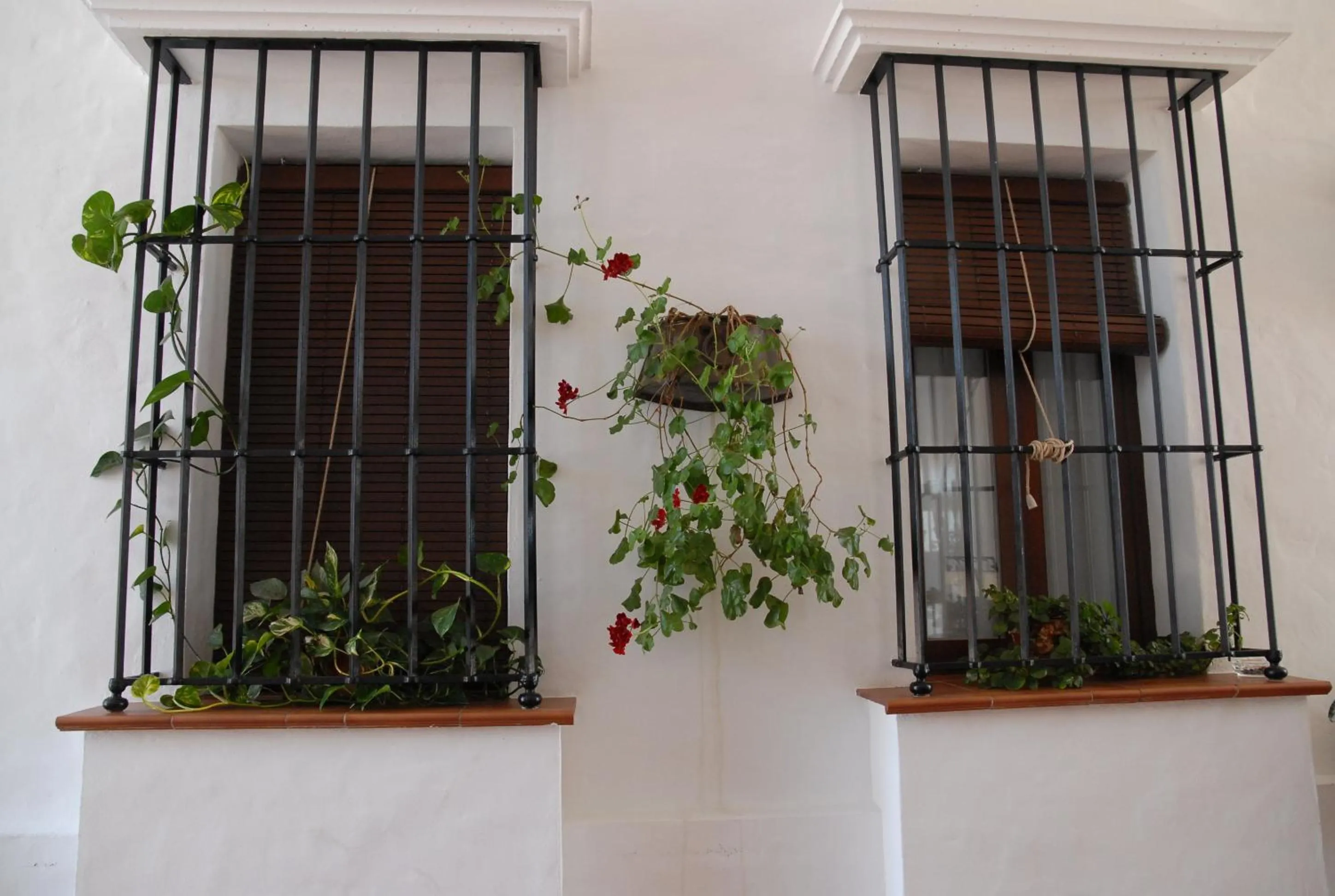 Garden view in Hotel Valsequillo