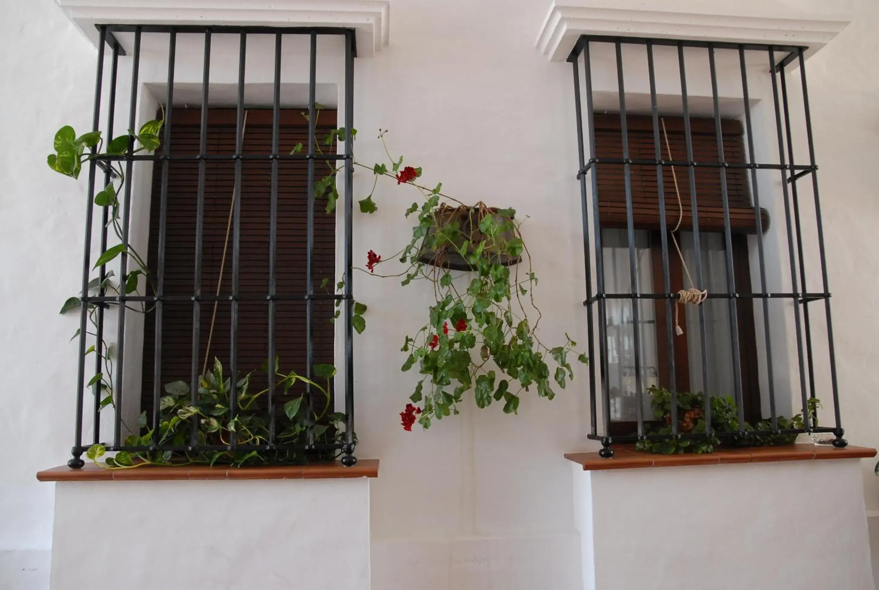 Garden view in Hotel Valsequillo Garden view in Hotel Valsequillo