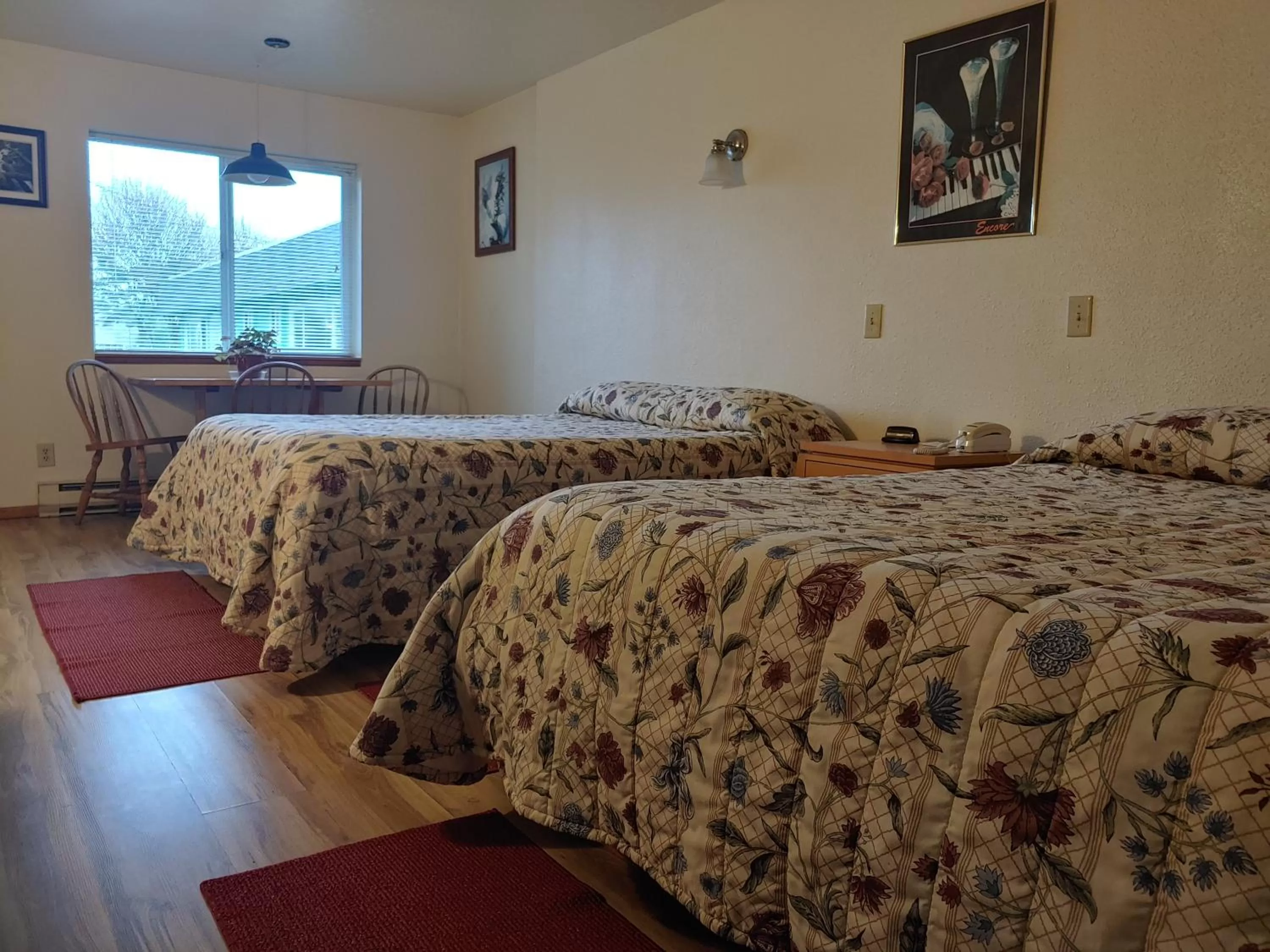 Bed in The Dublin House Motel