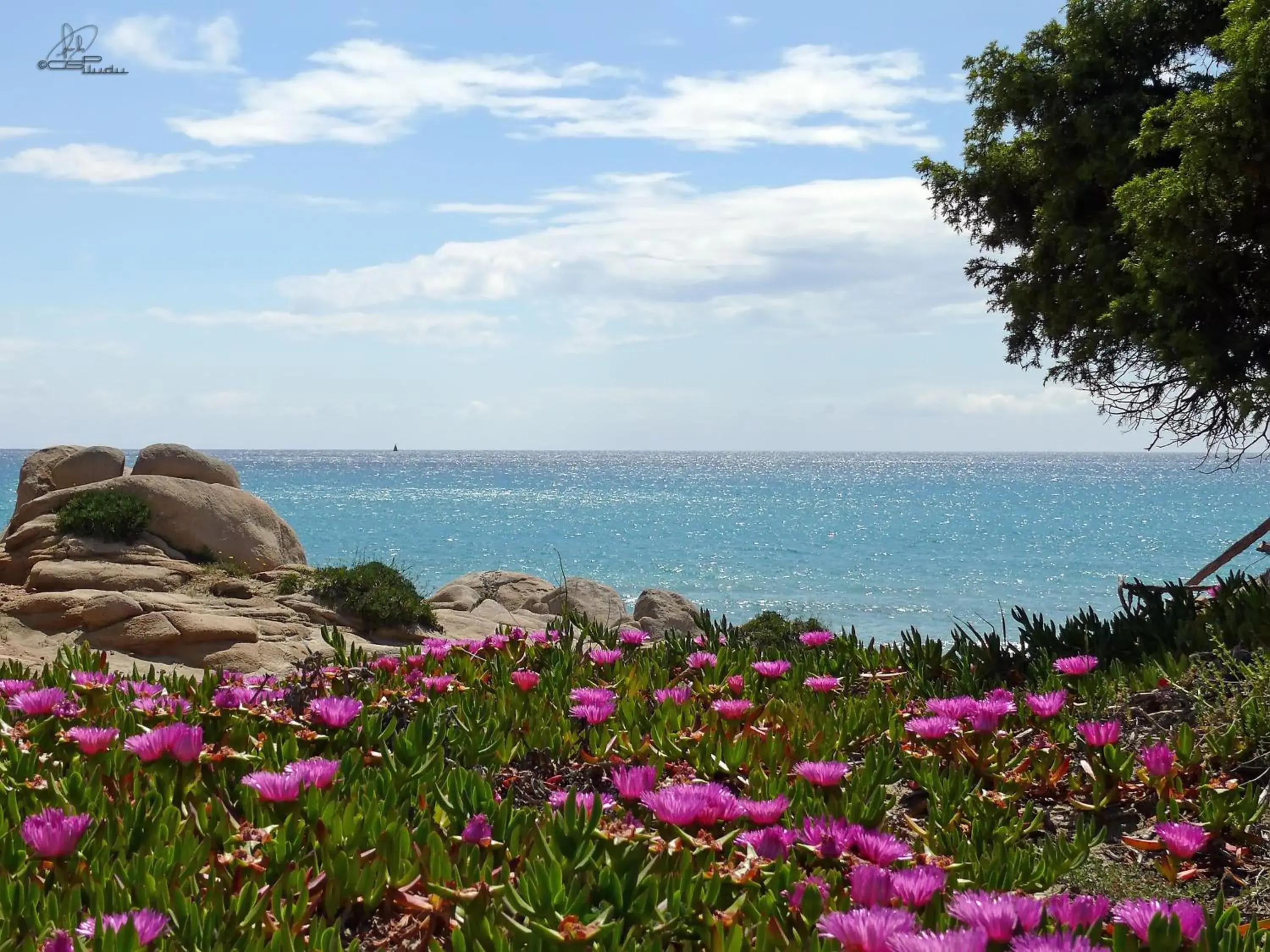 Beach in Hotel Fiore Di Maggio