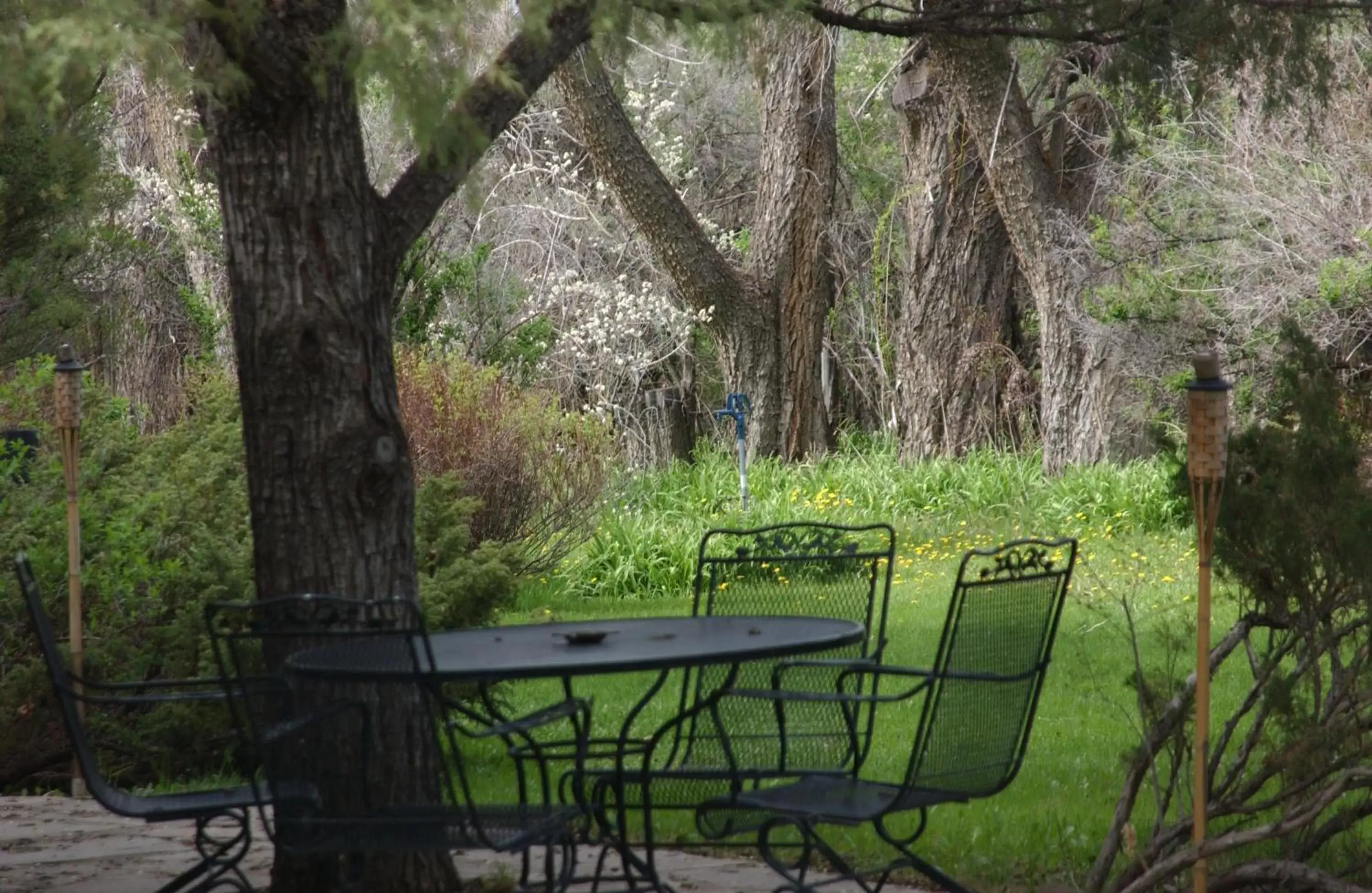 Garden in Touchstone Inn