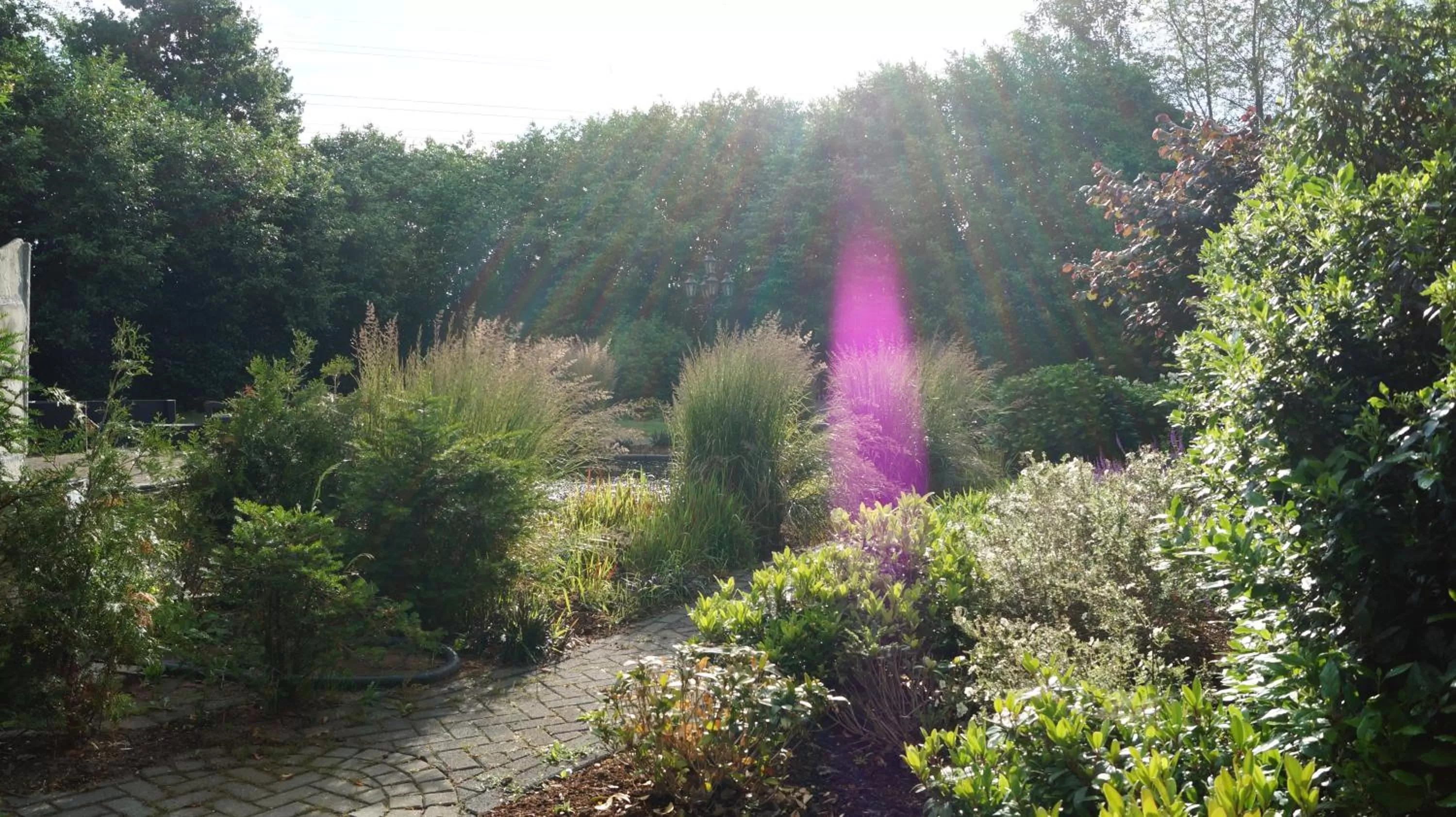 Garden in B&B Johannes-Hoeve