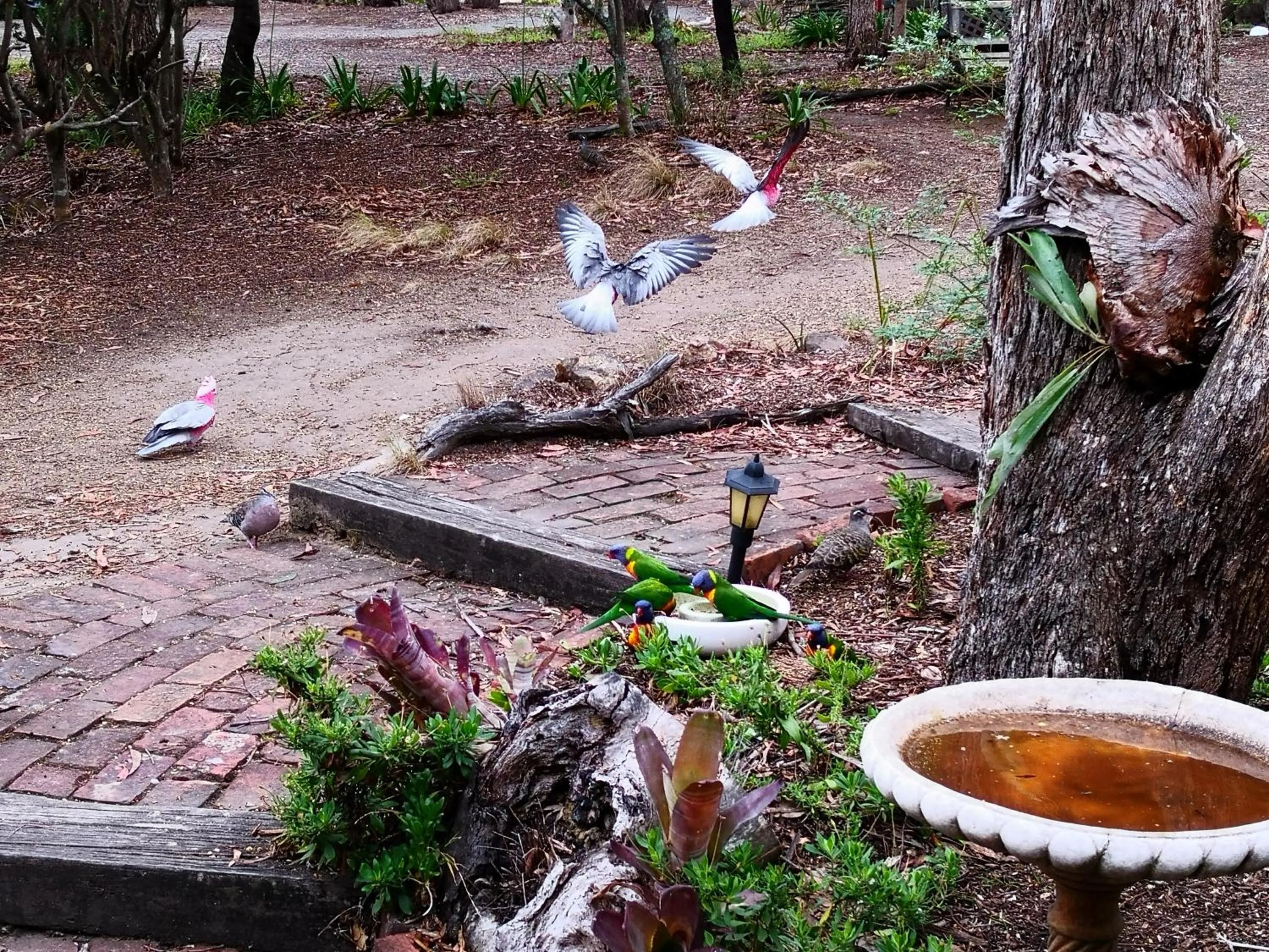 Kalimna Woods Cottages