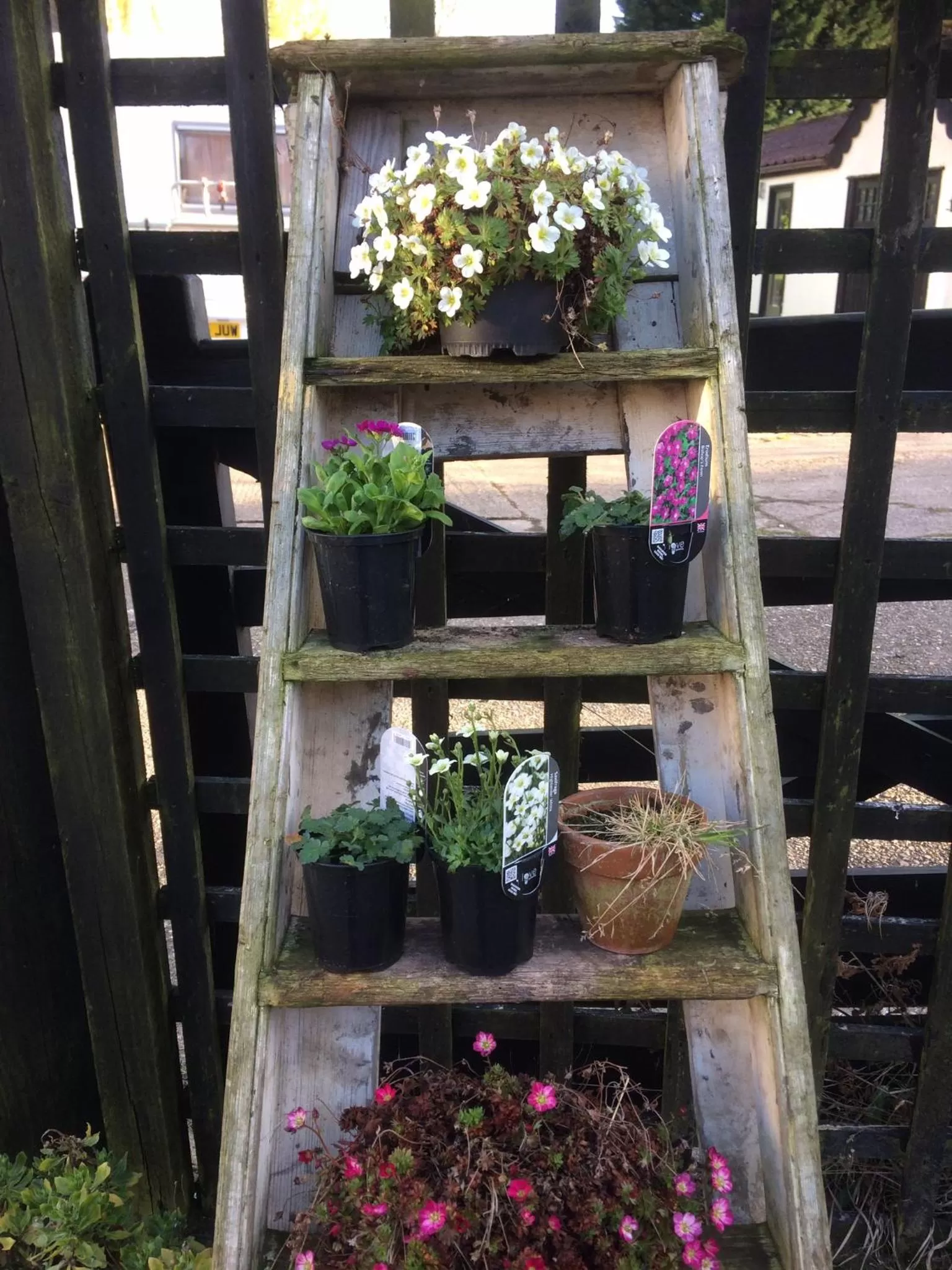 Valley Farmhouse B&B