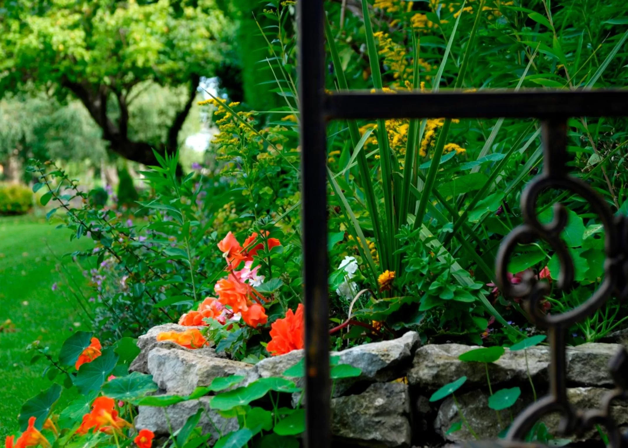 Garden in Gaskell Arms
