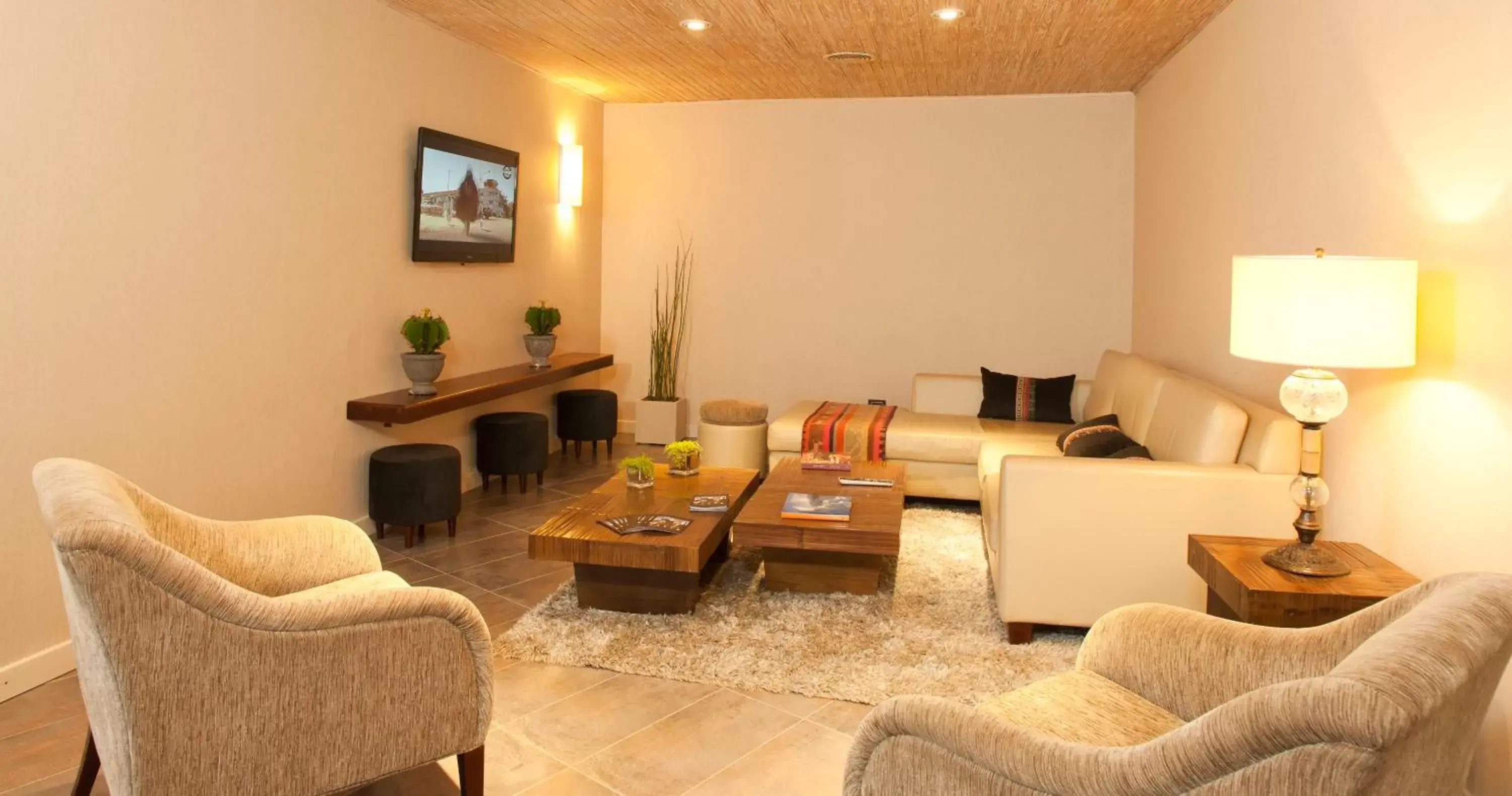 TV and multimedia, Seating Area in Hotel Bahia Redonda