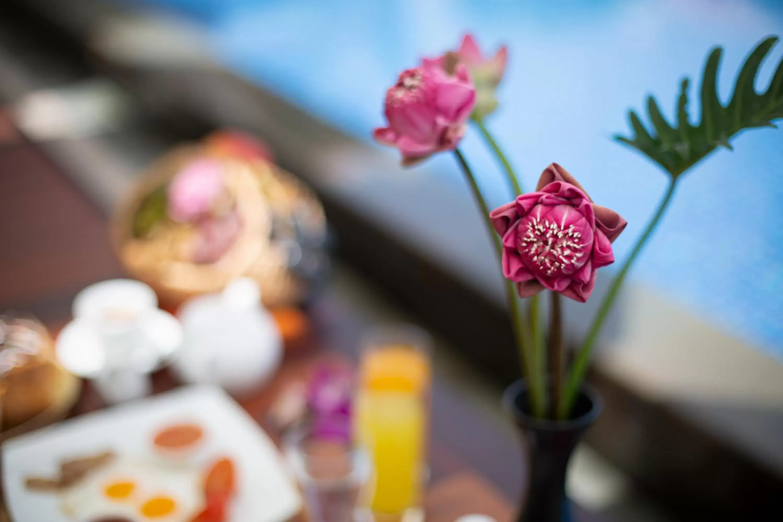 Restaurant/places to eat in Angkor Privilege Resort & Spa Restaurant/places to eat in Angkor Privilege Resort & Spa