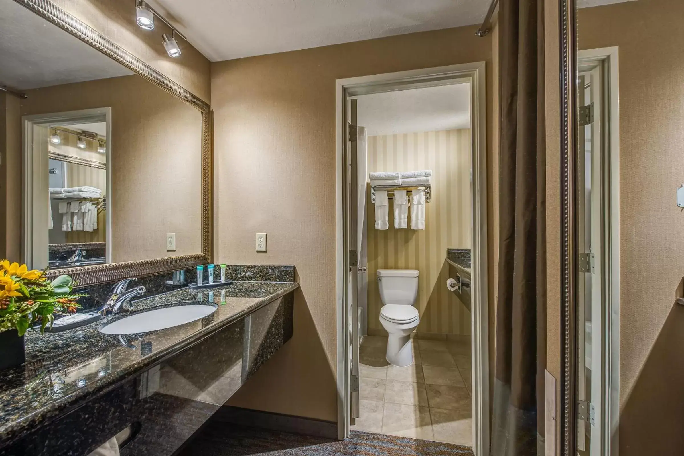 Toilet, Bathroom in Best Western Plus Canyonlands Inn