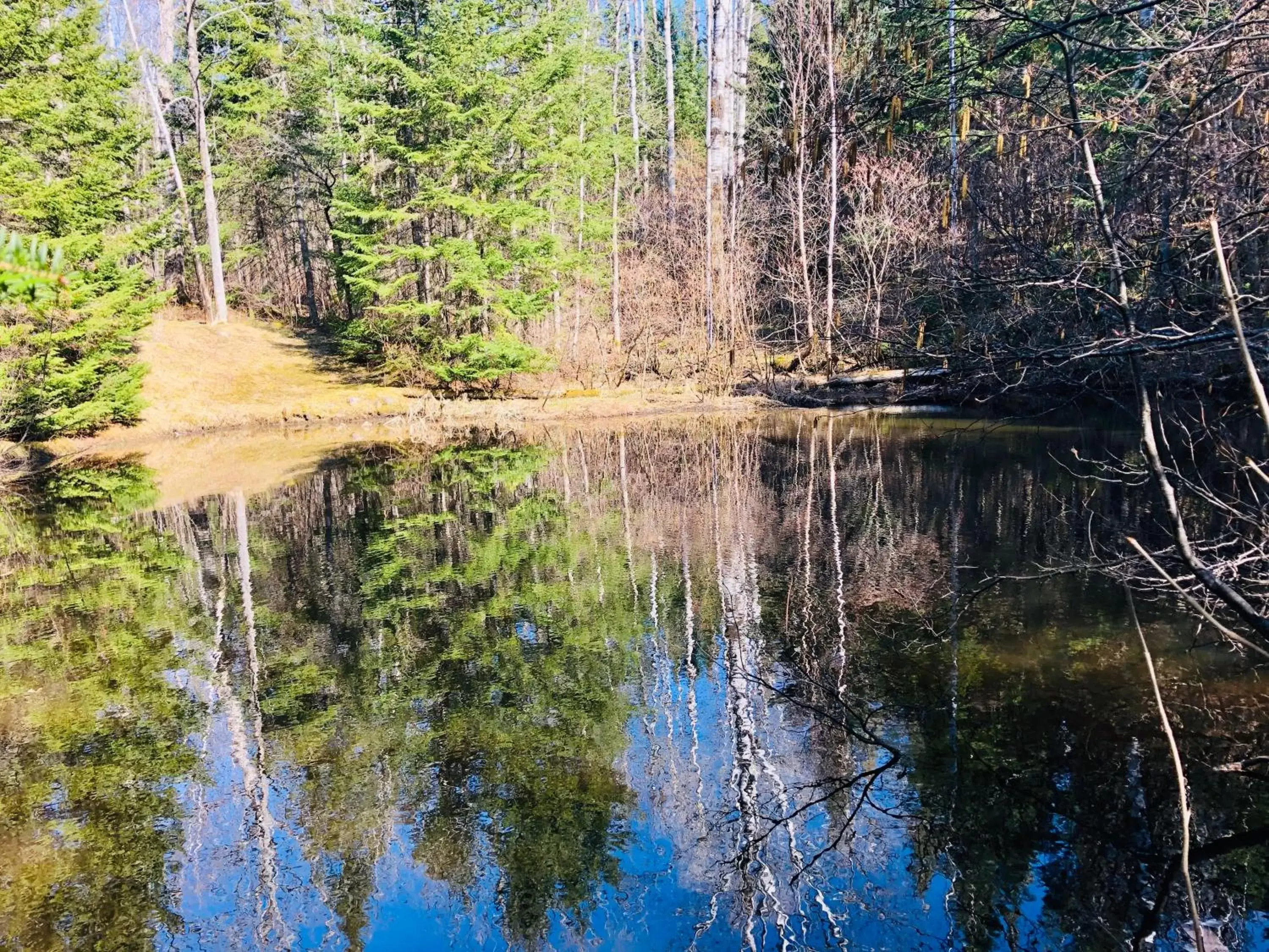 Lake View in Gîte de la Montagne Enchantée