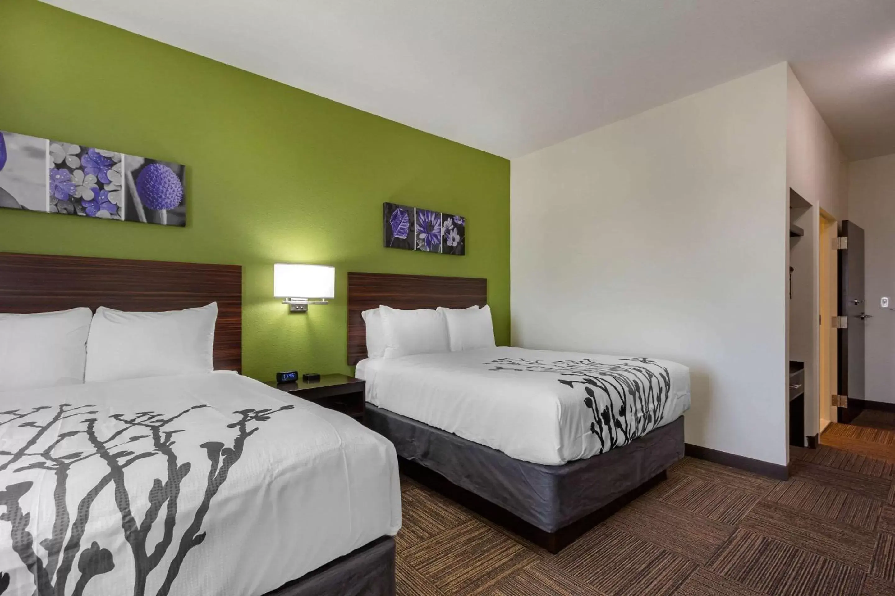 Photo of the whole room, Bed in Sleep Inn & Suites Tampa South