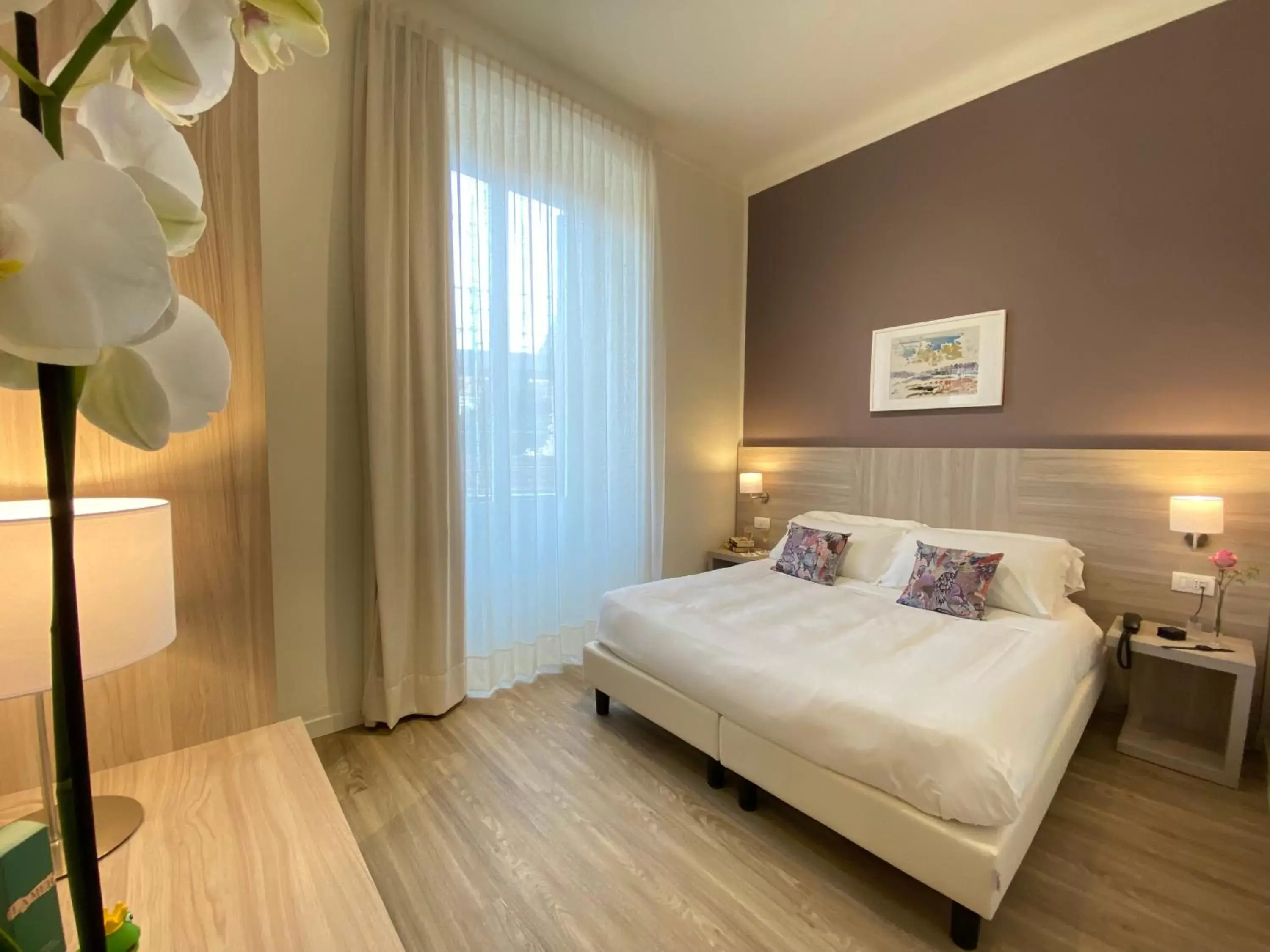 Standard Double Room in Hotel Eletto